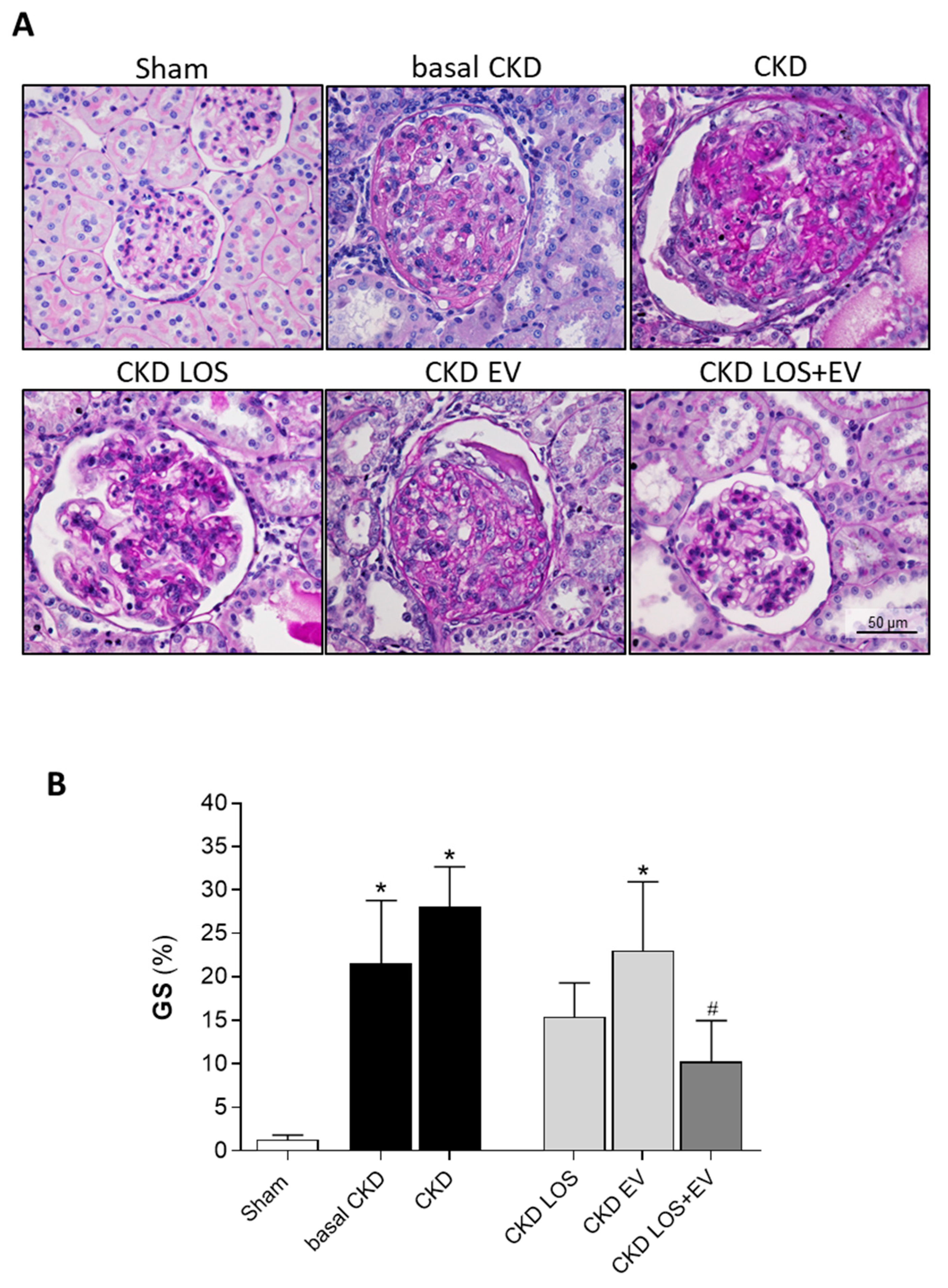 Preprints 141243 g006