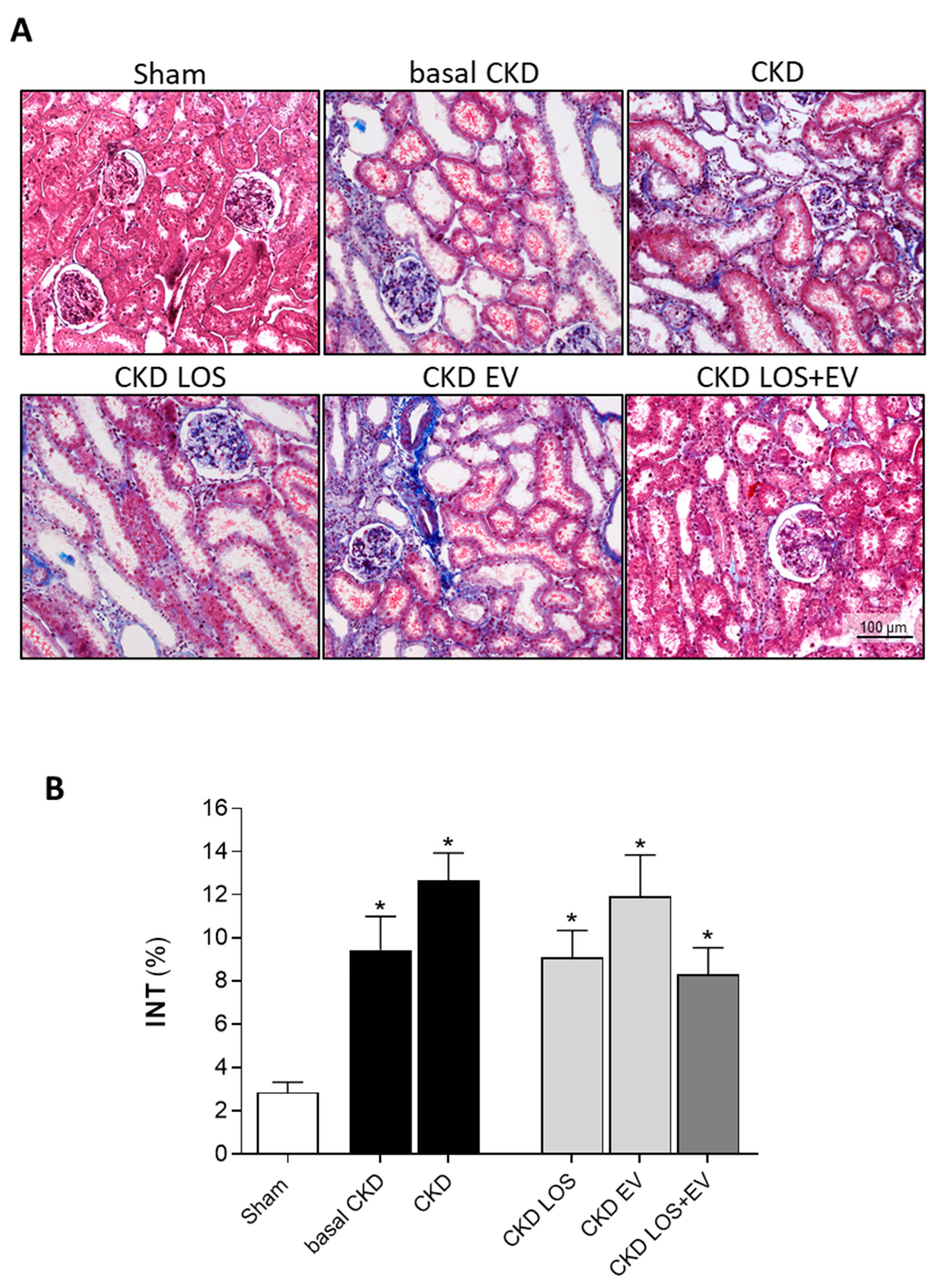 Preprints 141243 g007