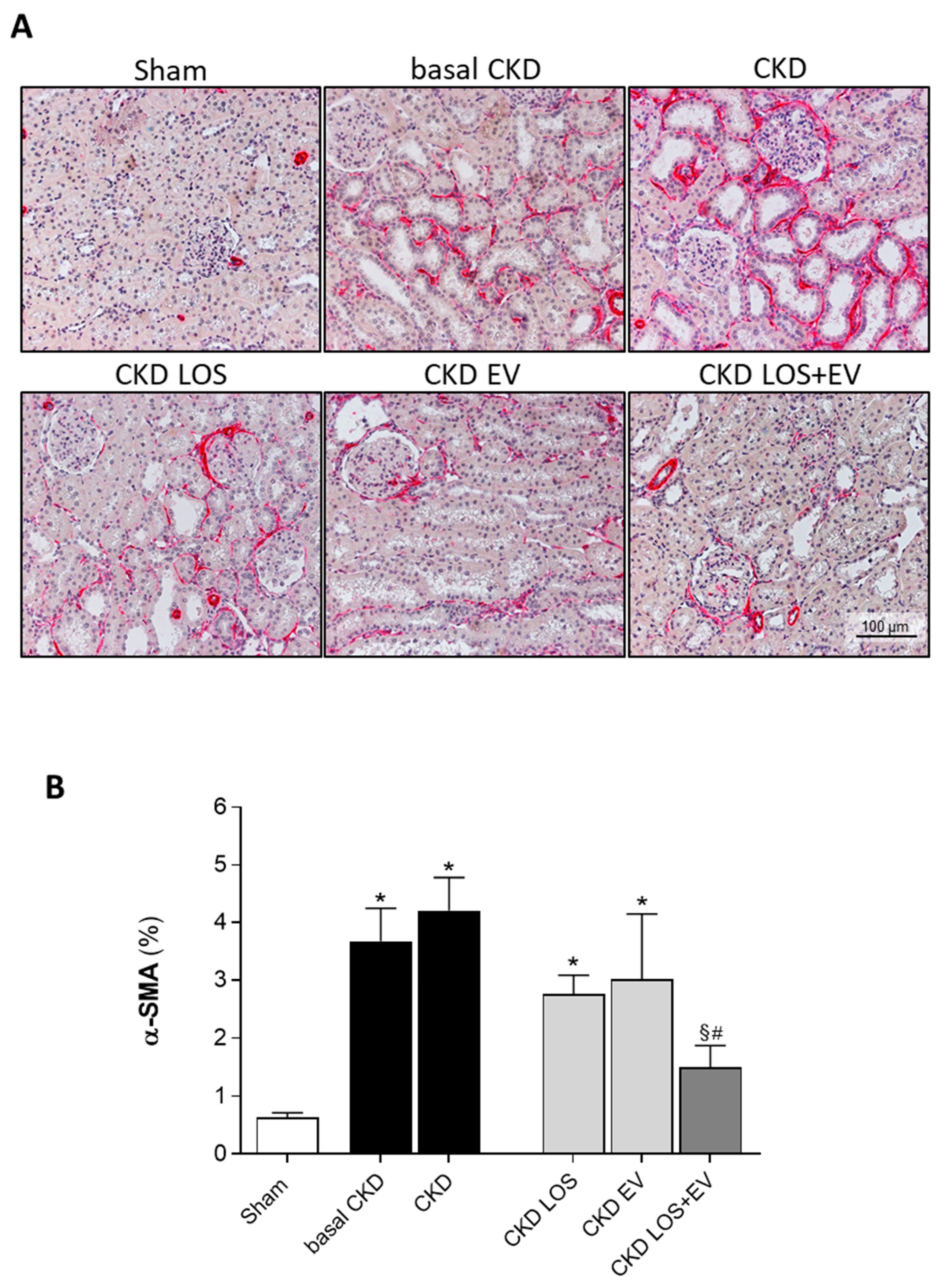 Preprints 141243 g008