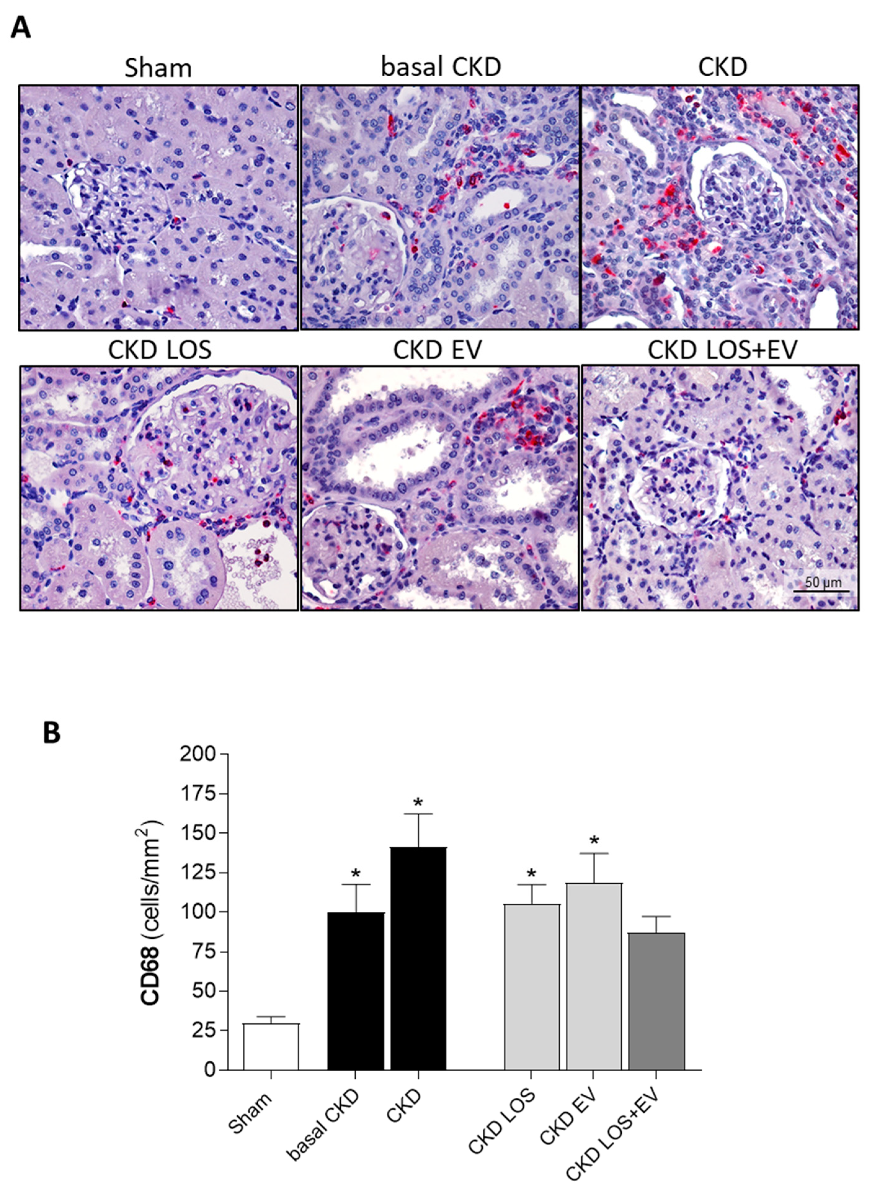 Preprints 141243 g009