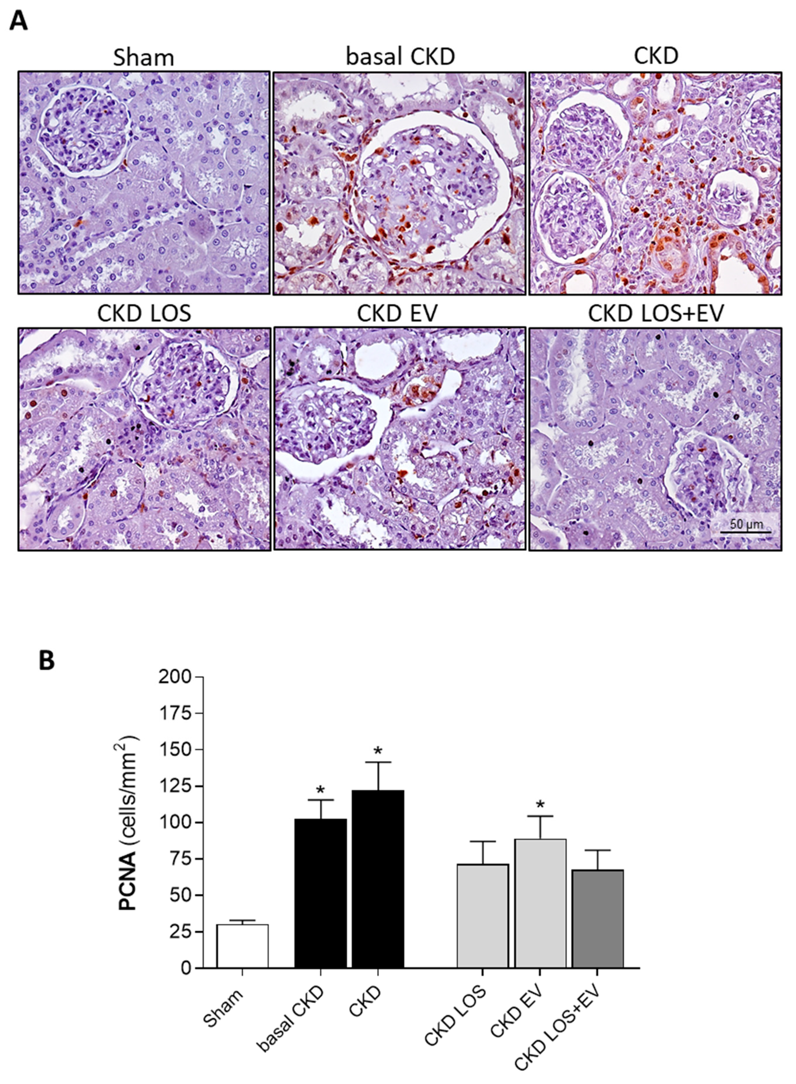 Preprints 141243 g010