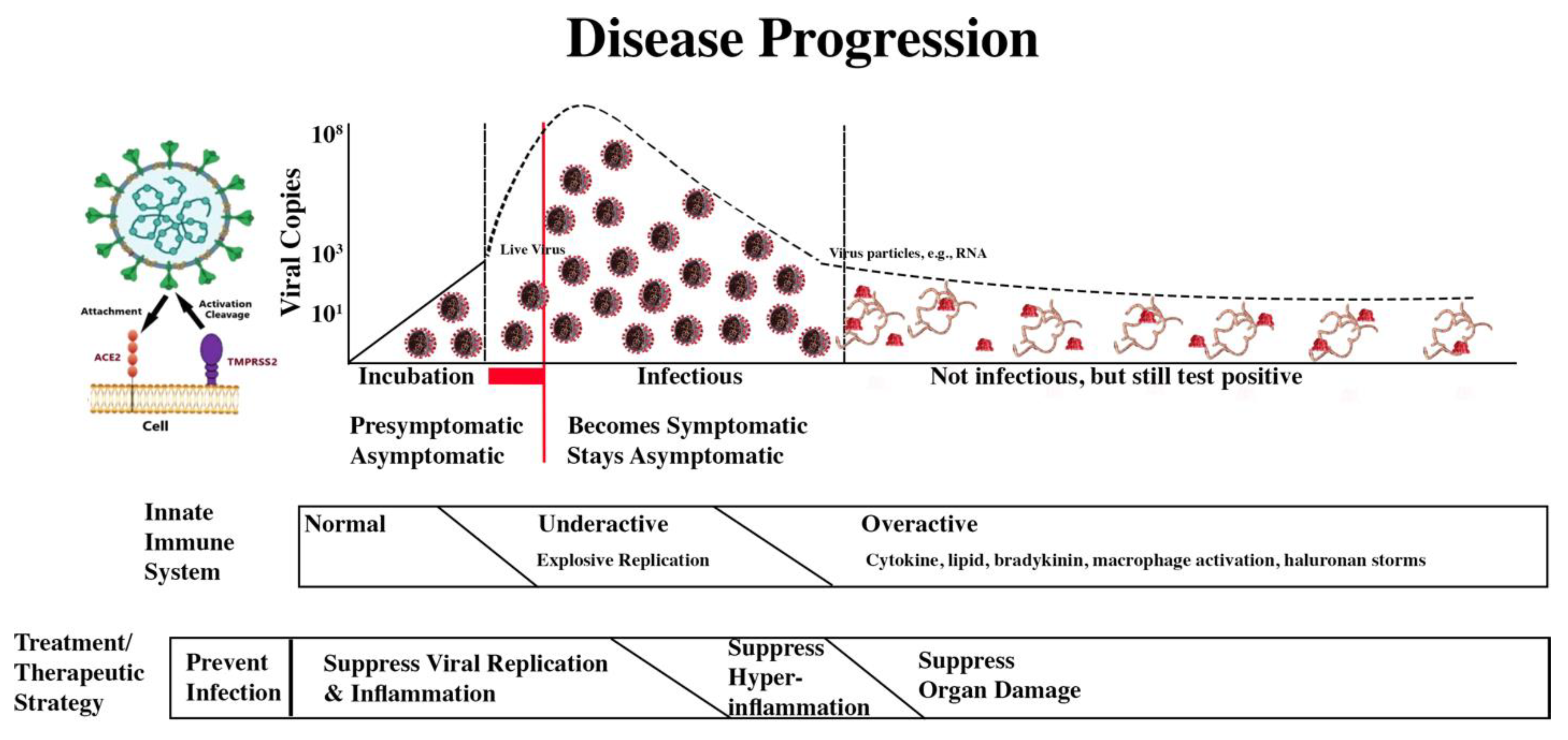 Preprints 140368 g001