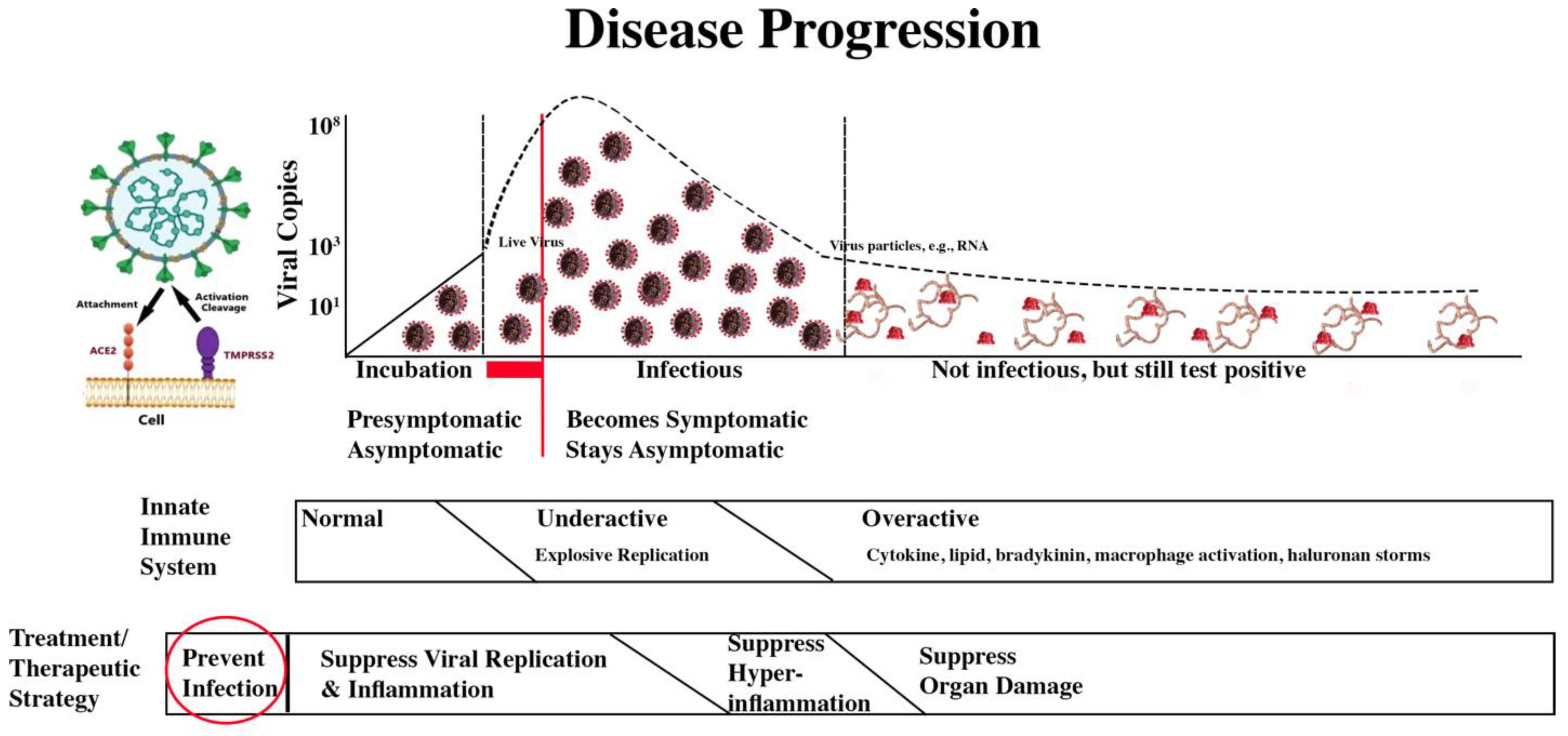 Preprints 140368 g009