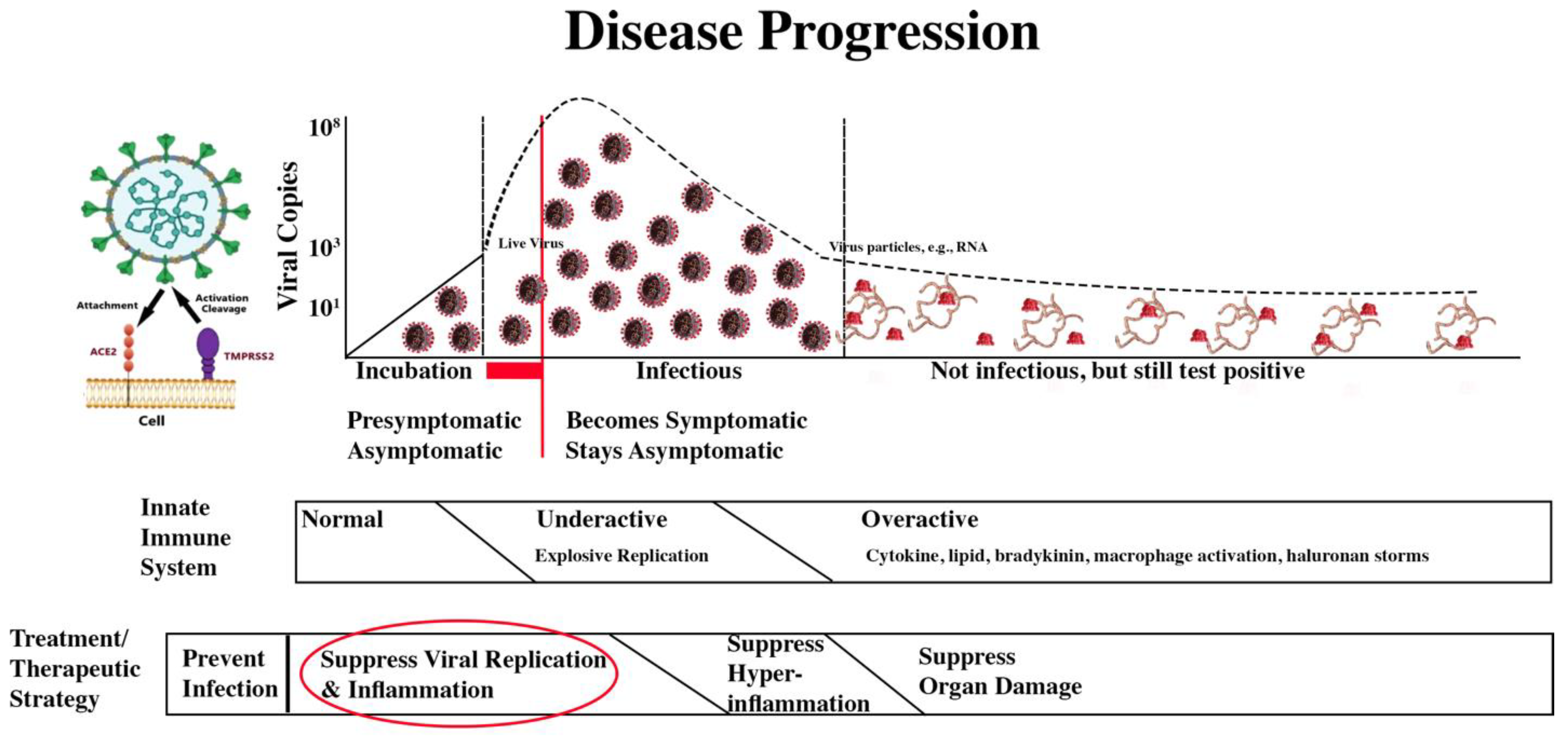 Preprints 140368 g010