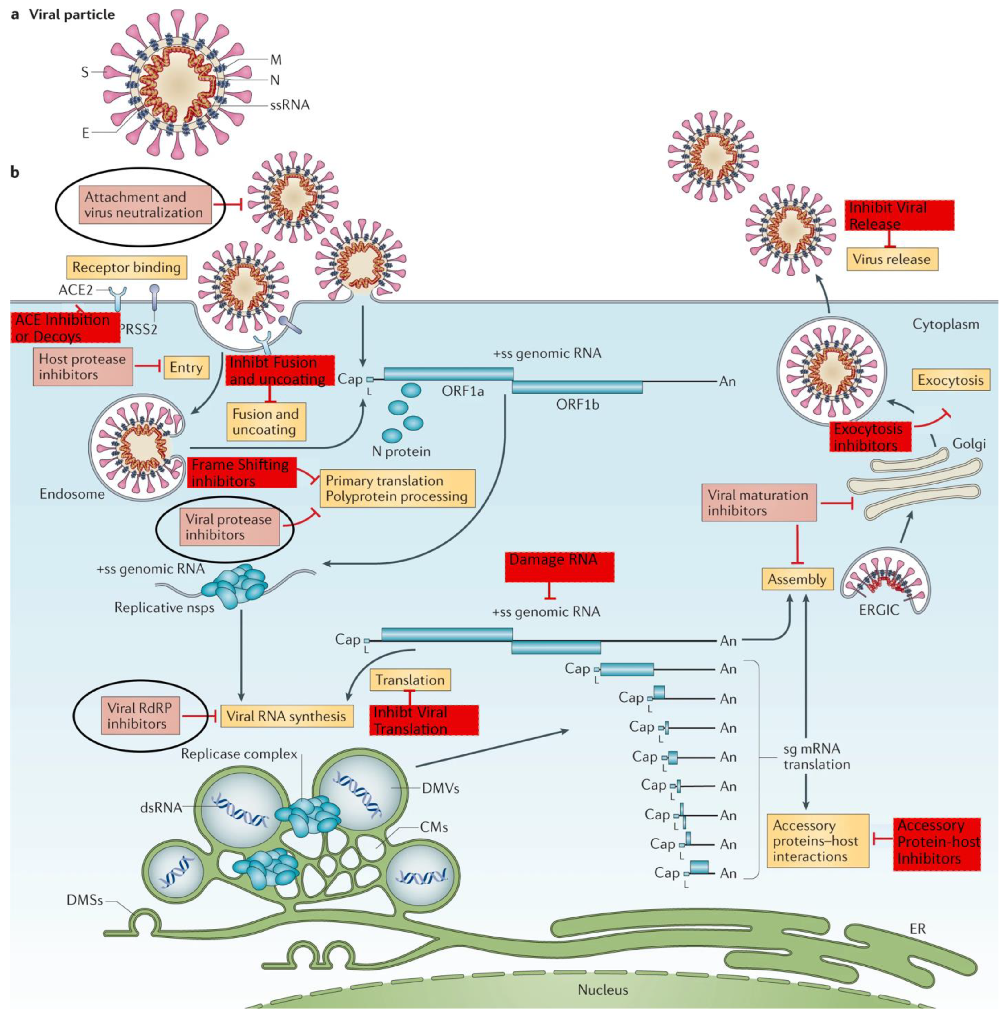 Preprints 140368 g012