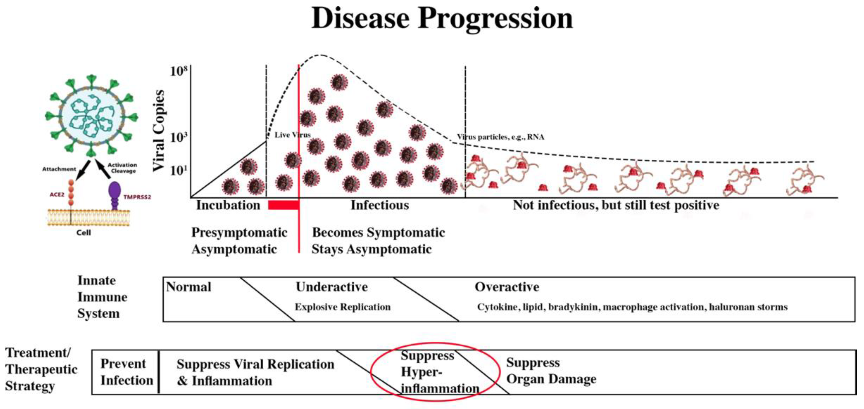 Preprints 140368 g018