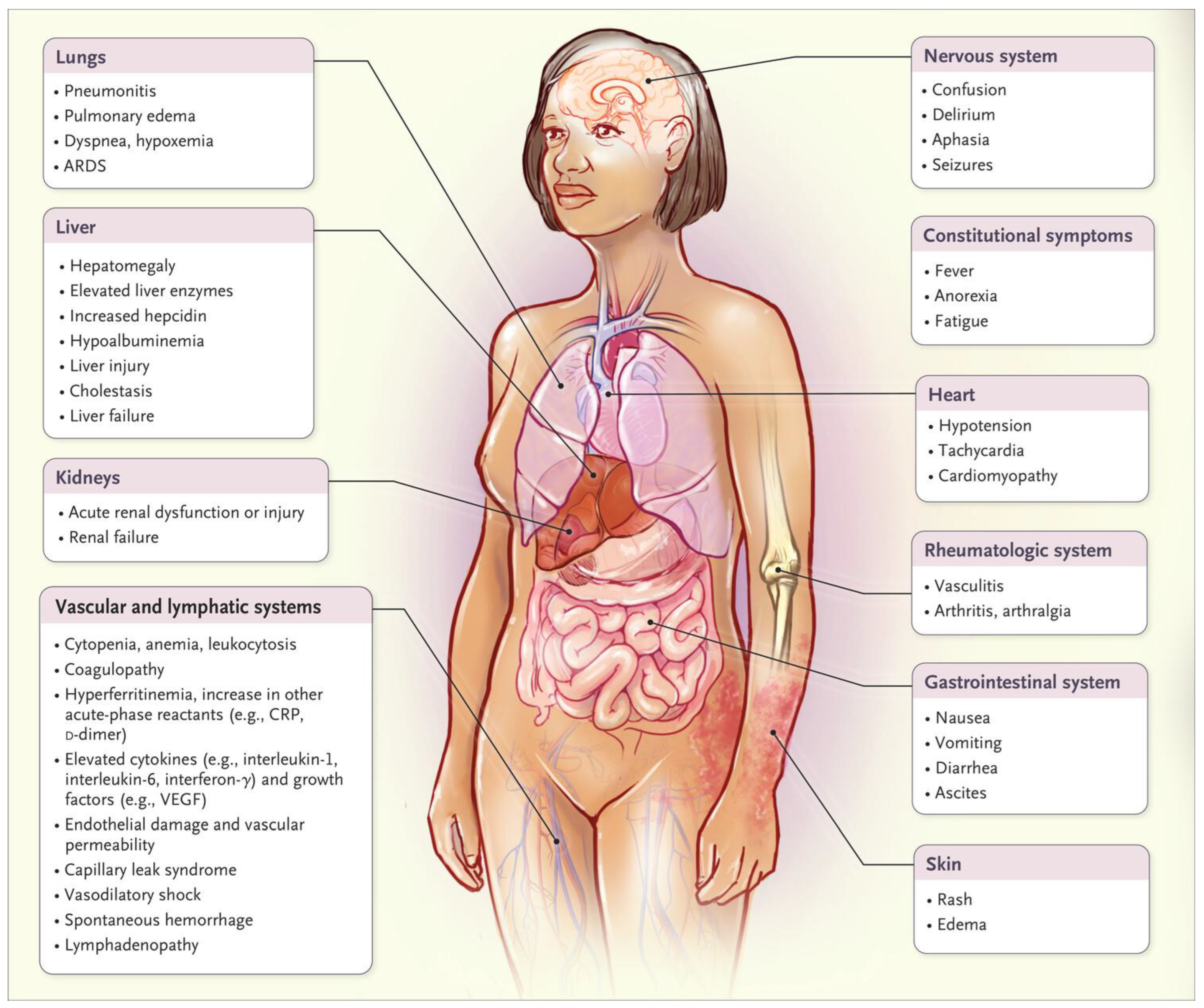 Preprints 140368 g019