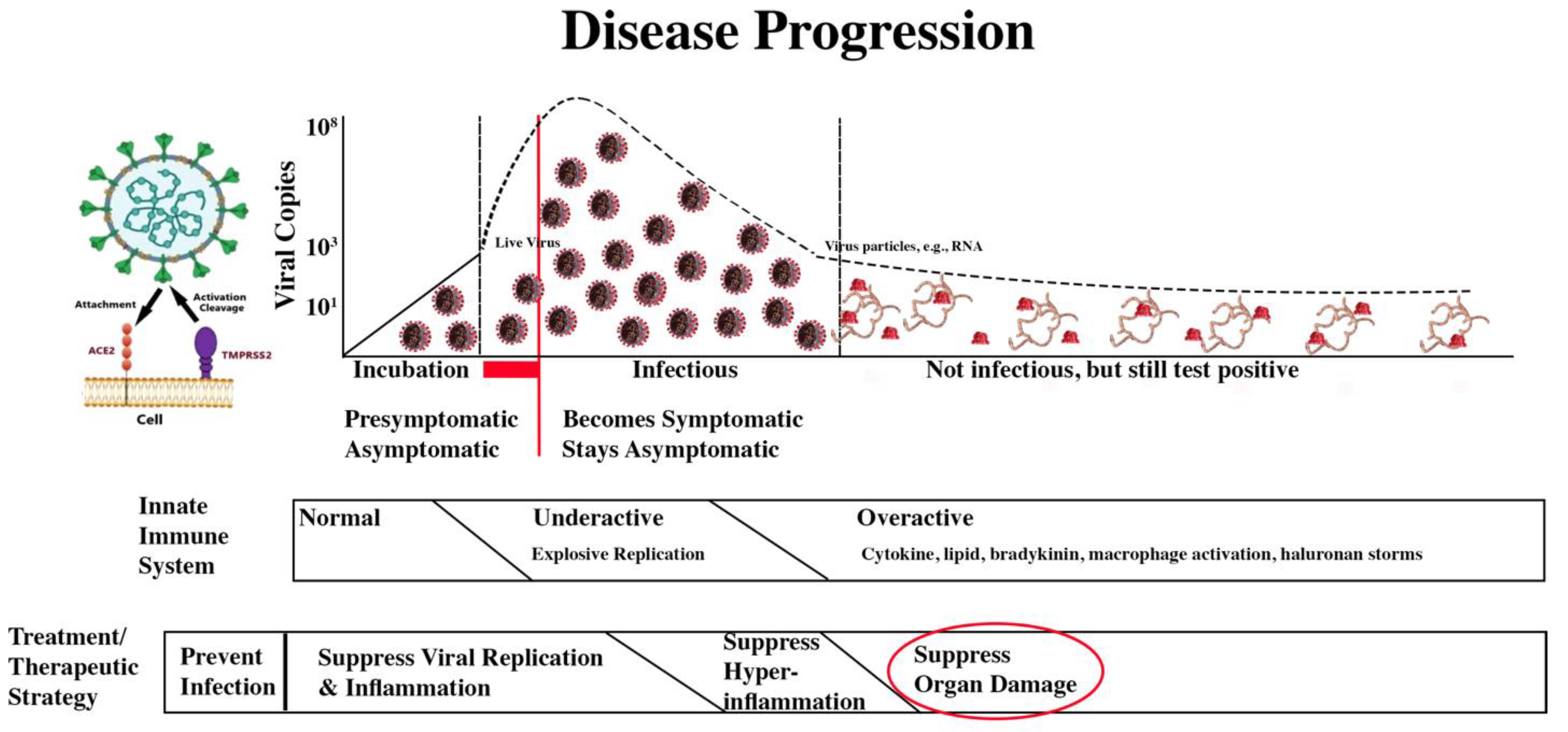 Preprints 140368 g020