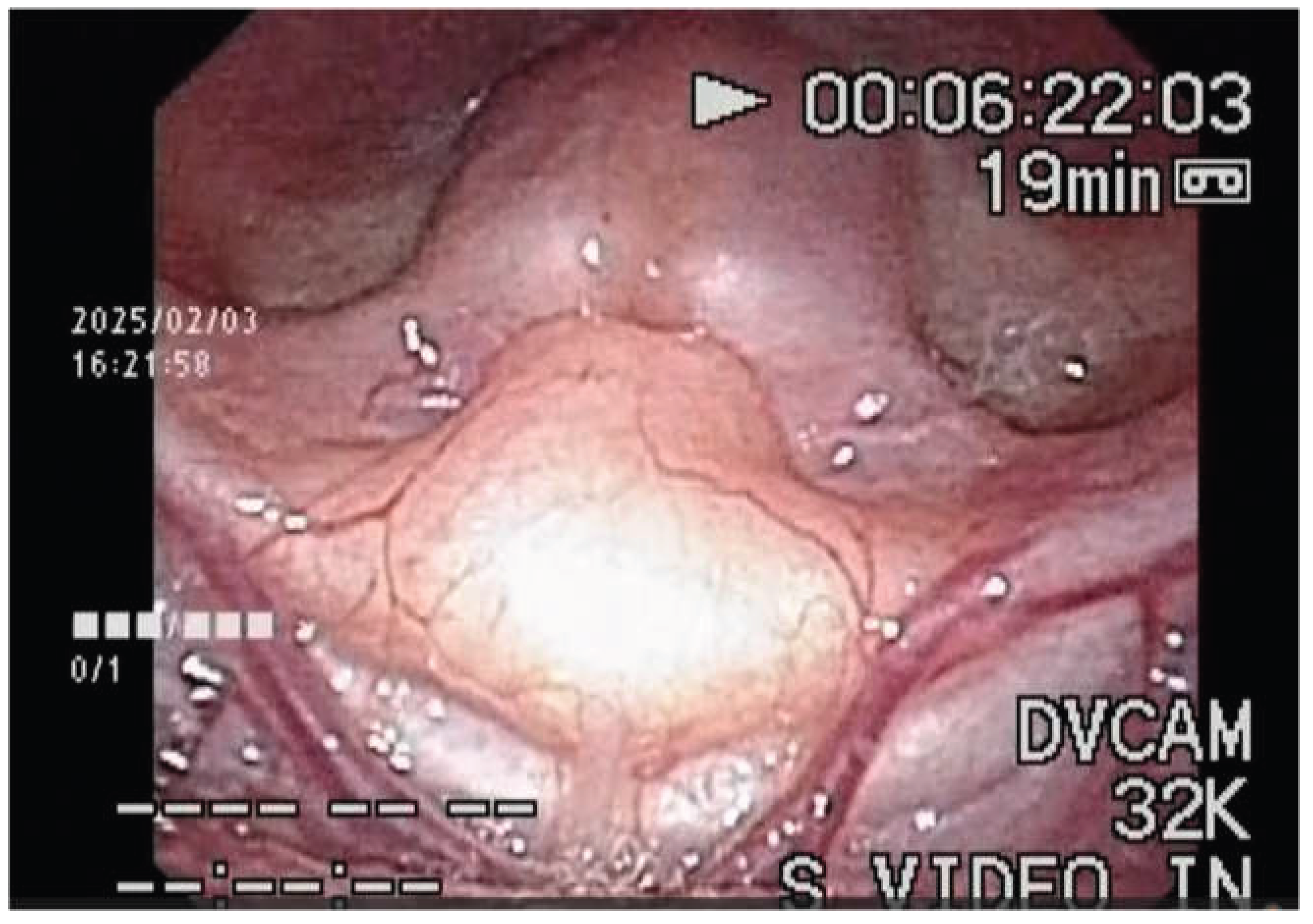 Preprints 192966 g001