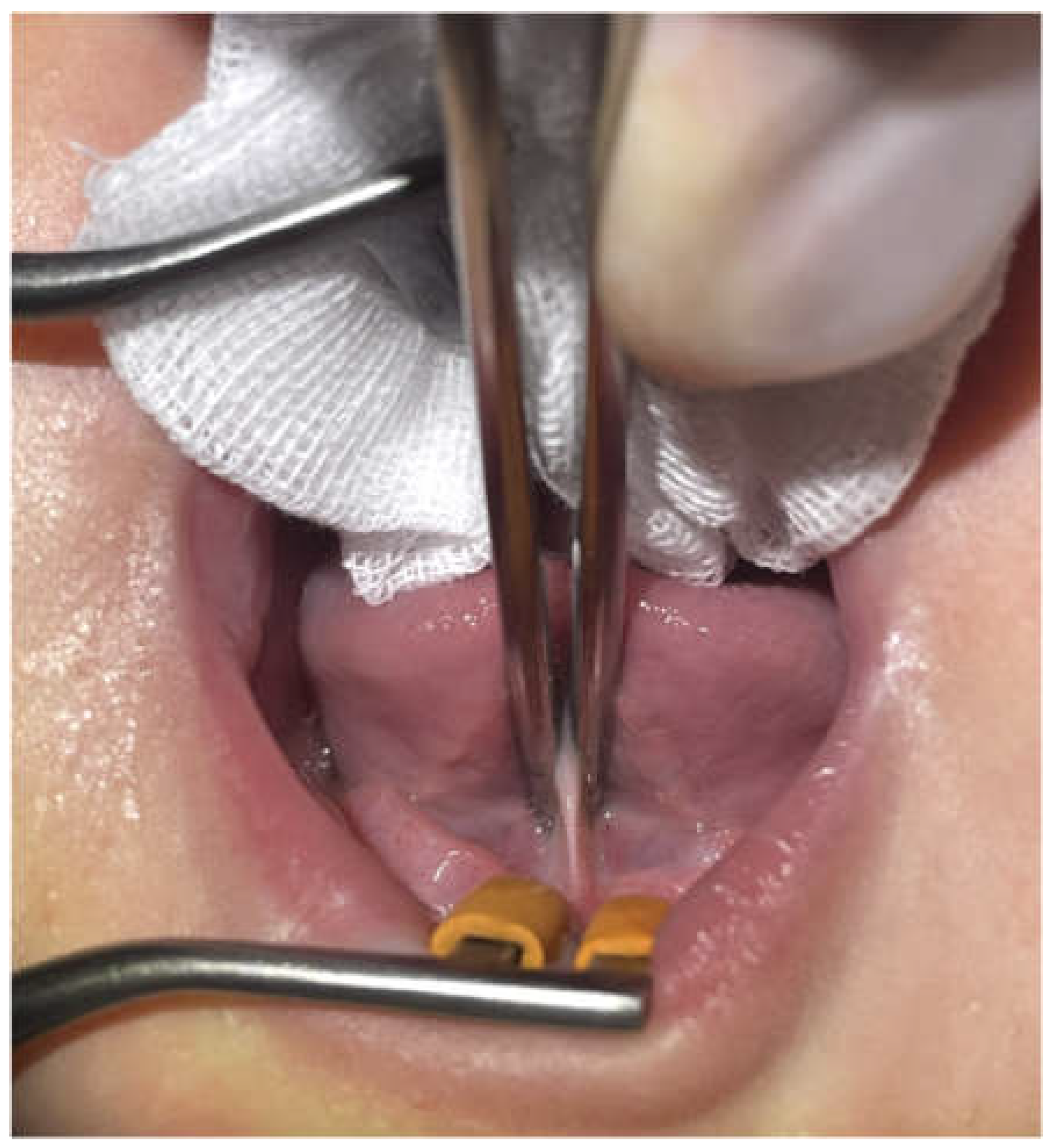 Preprints 192966 g002