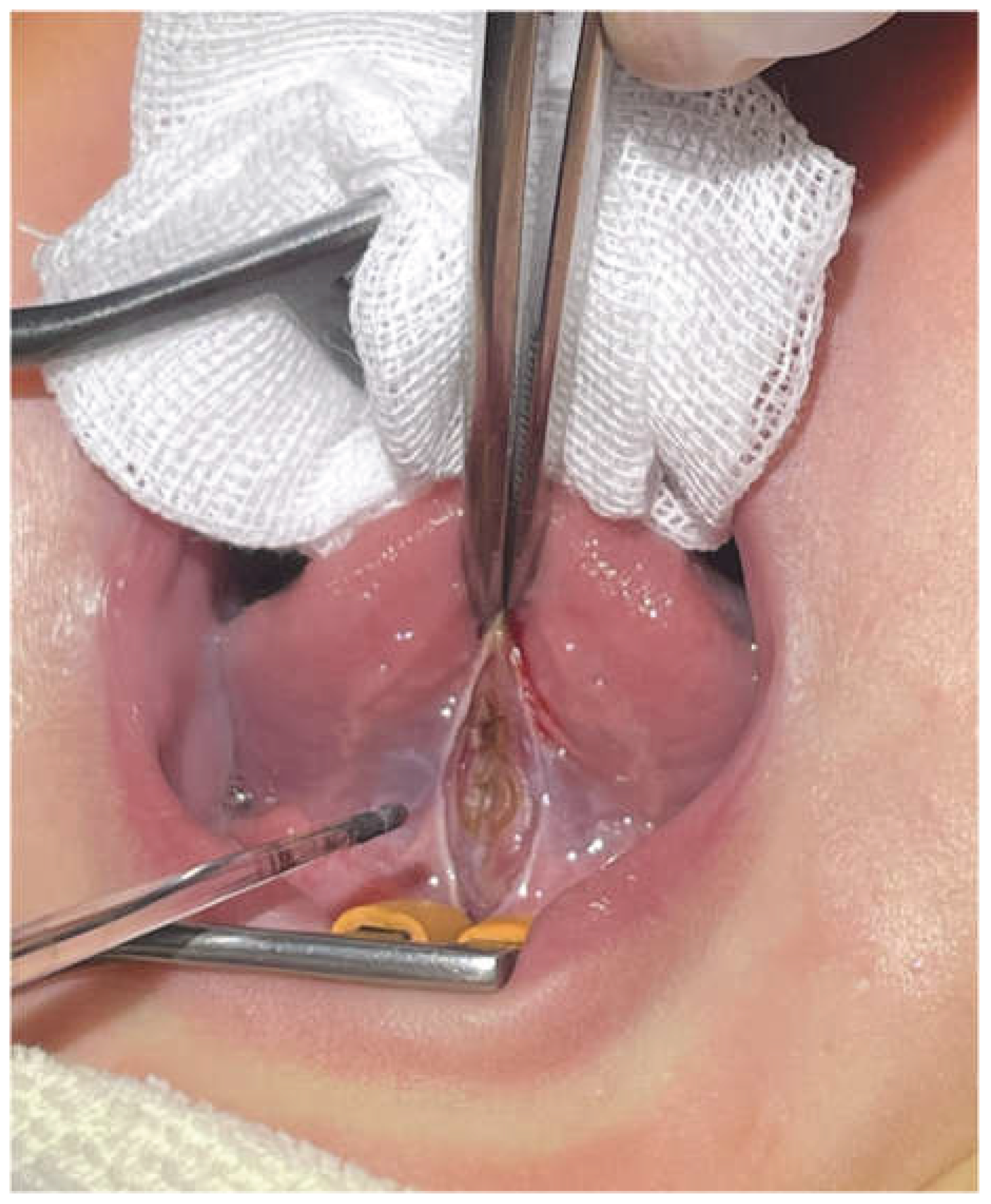 Preprints 192966 g003