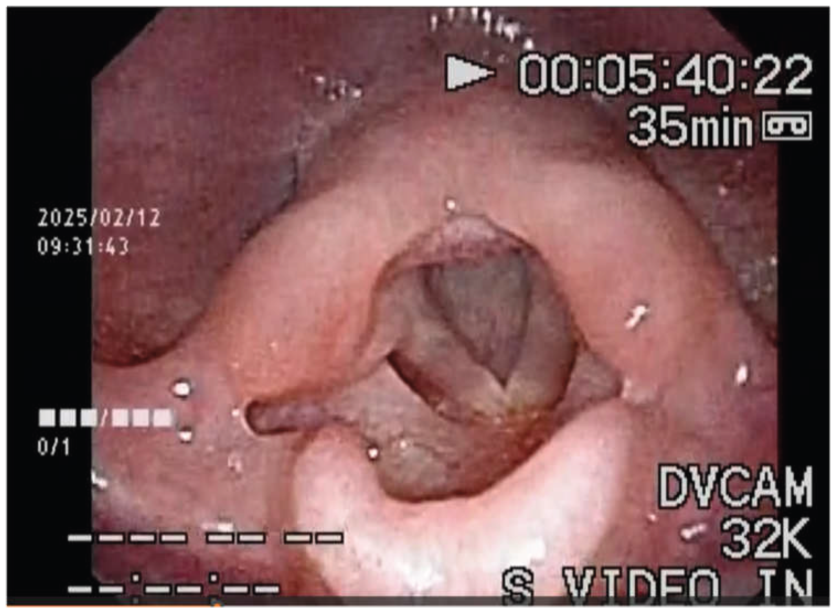 Preprints 192966 g004