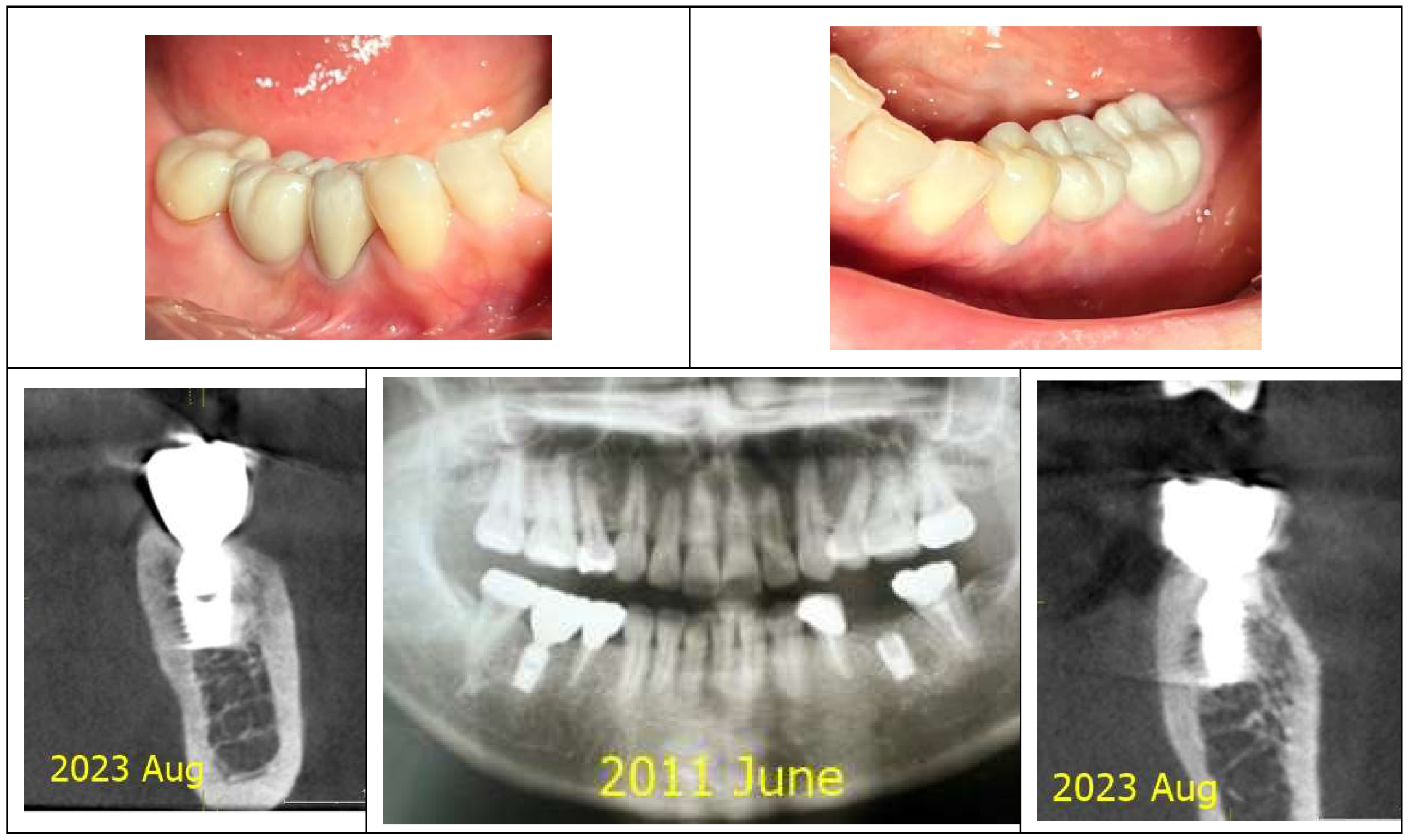 Preprints 153065 g001