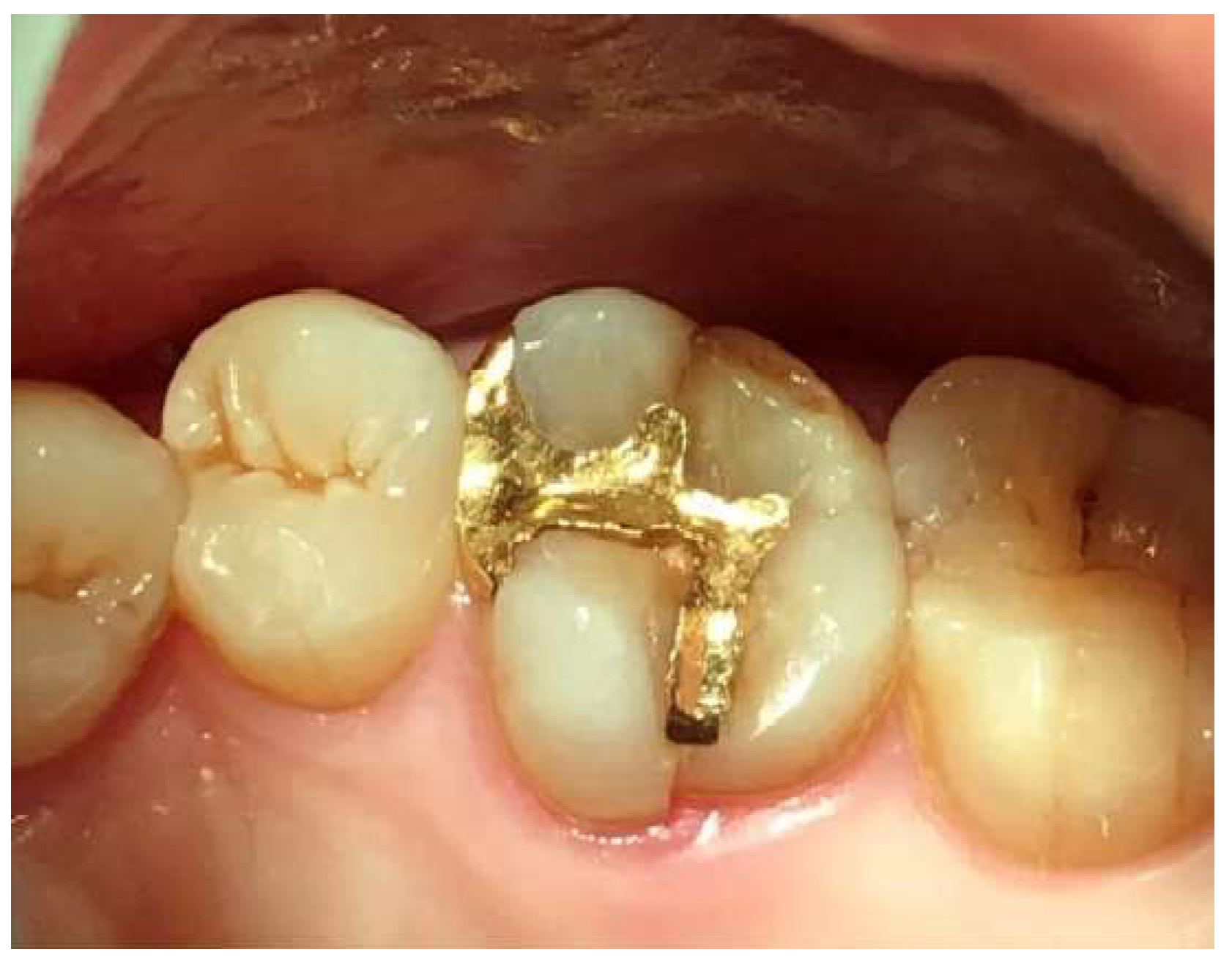 Preprints 153065 g002