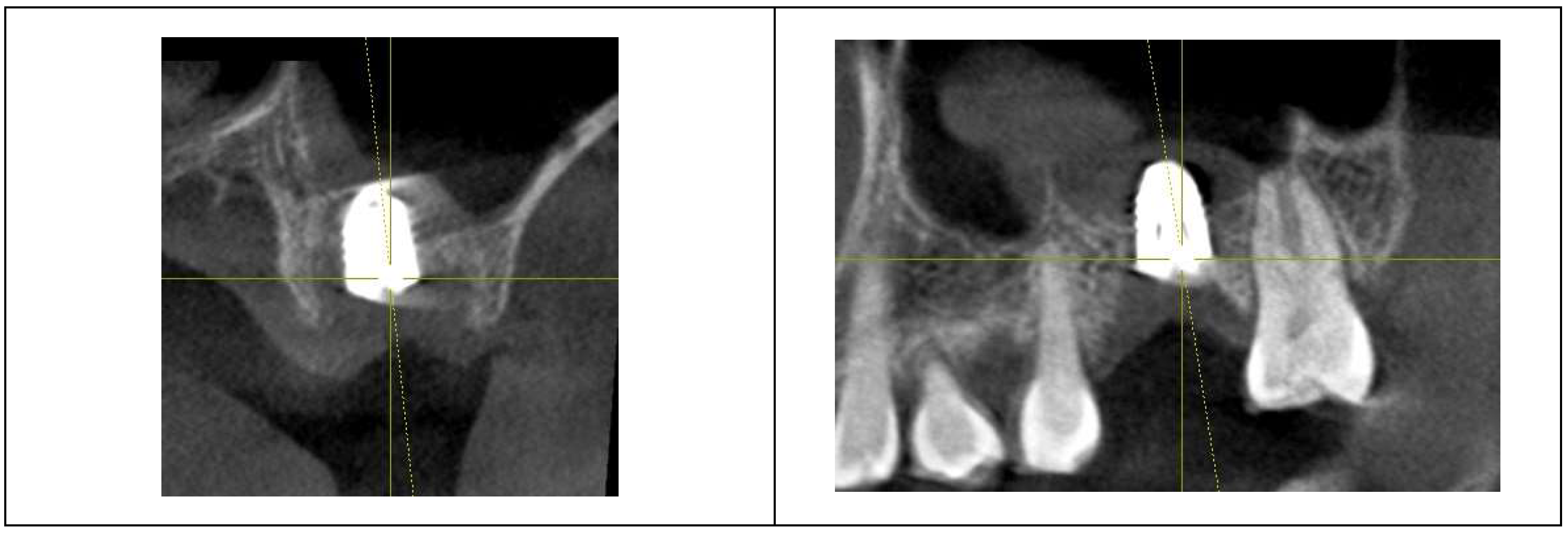 Preprints 153065 g003