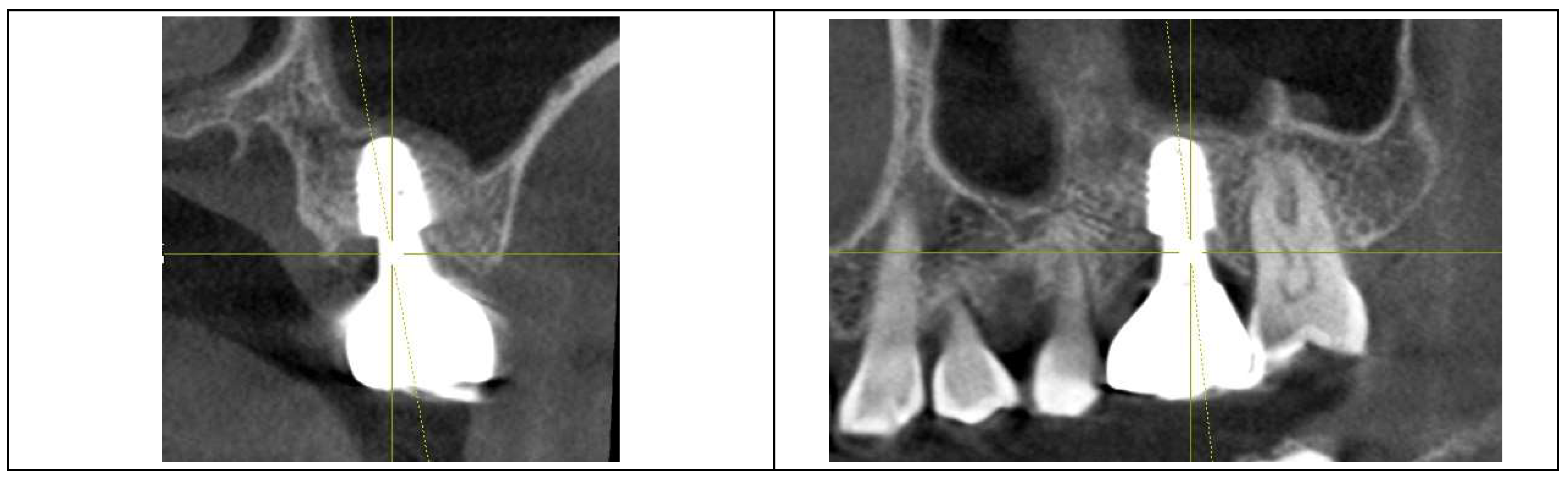 Preprints 153065 g004
