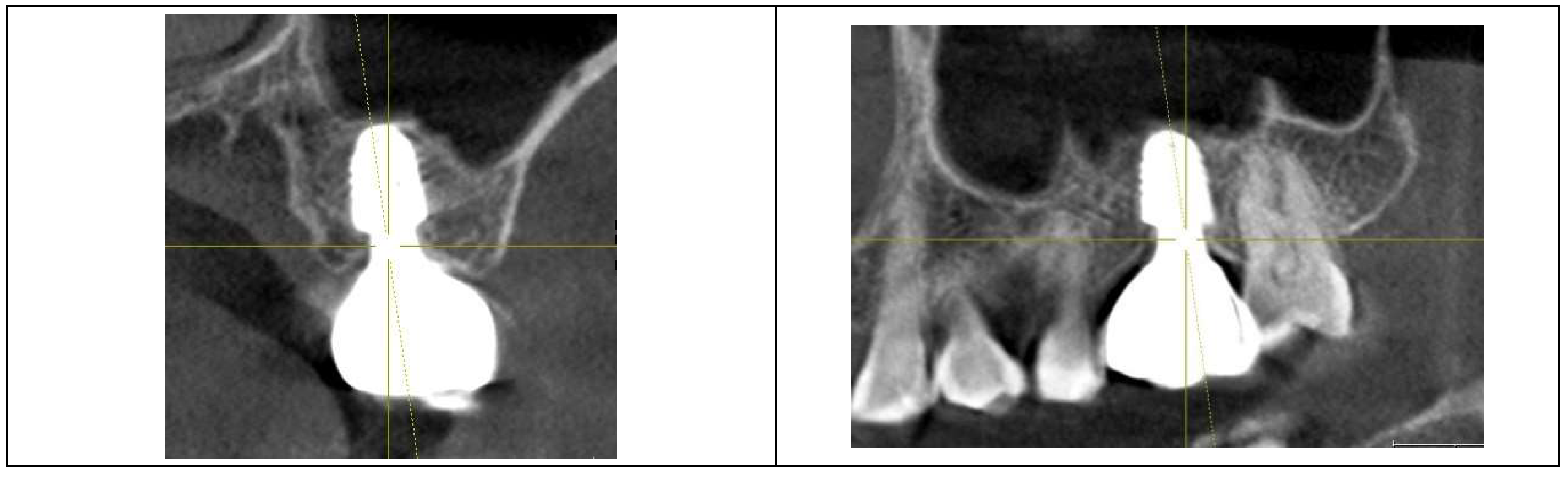 Preprints 153065 g005