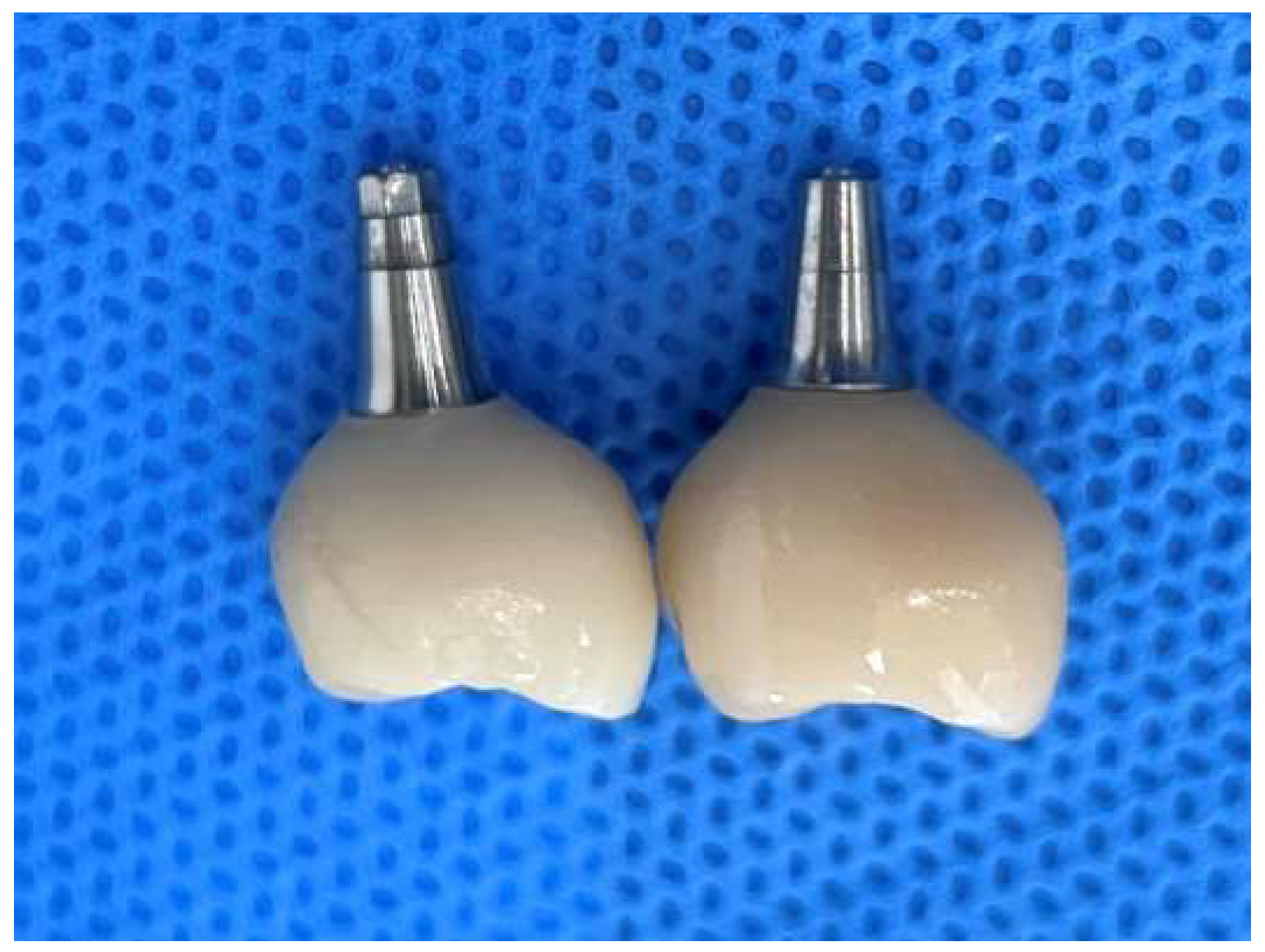 Preprints 153065 g006