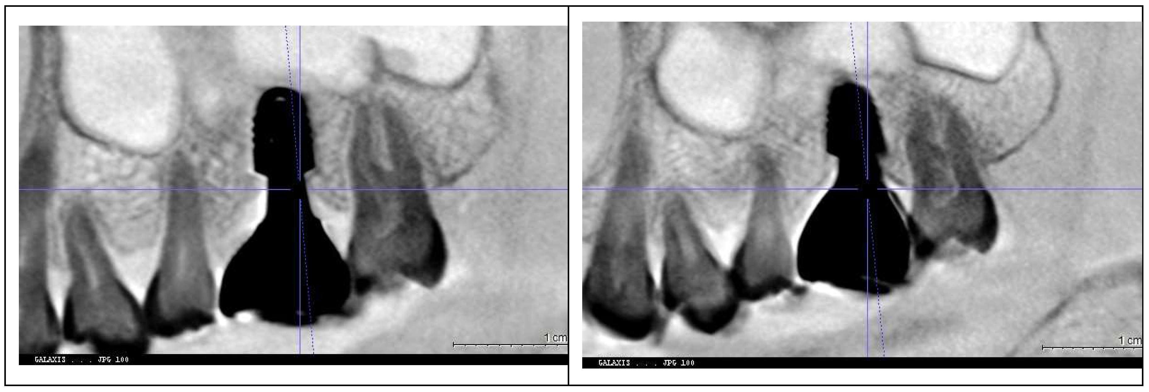 Preprints 153065 g010a