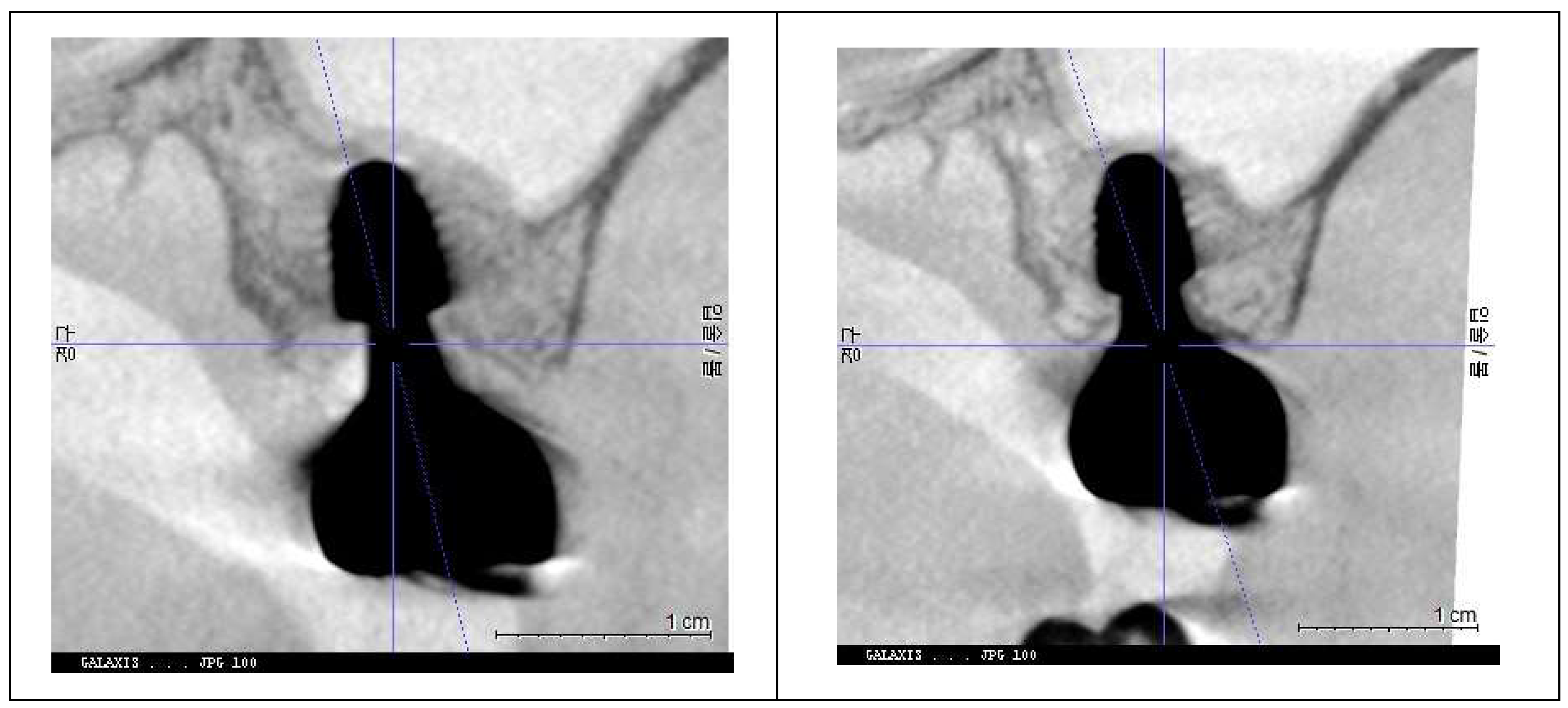 Preprints 153065 g010b