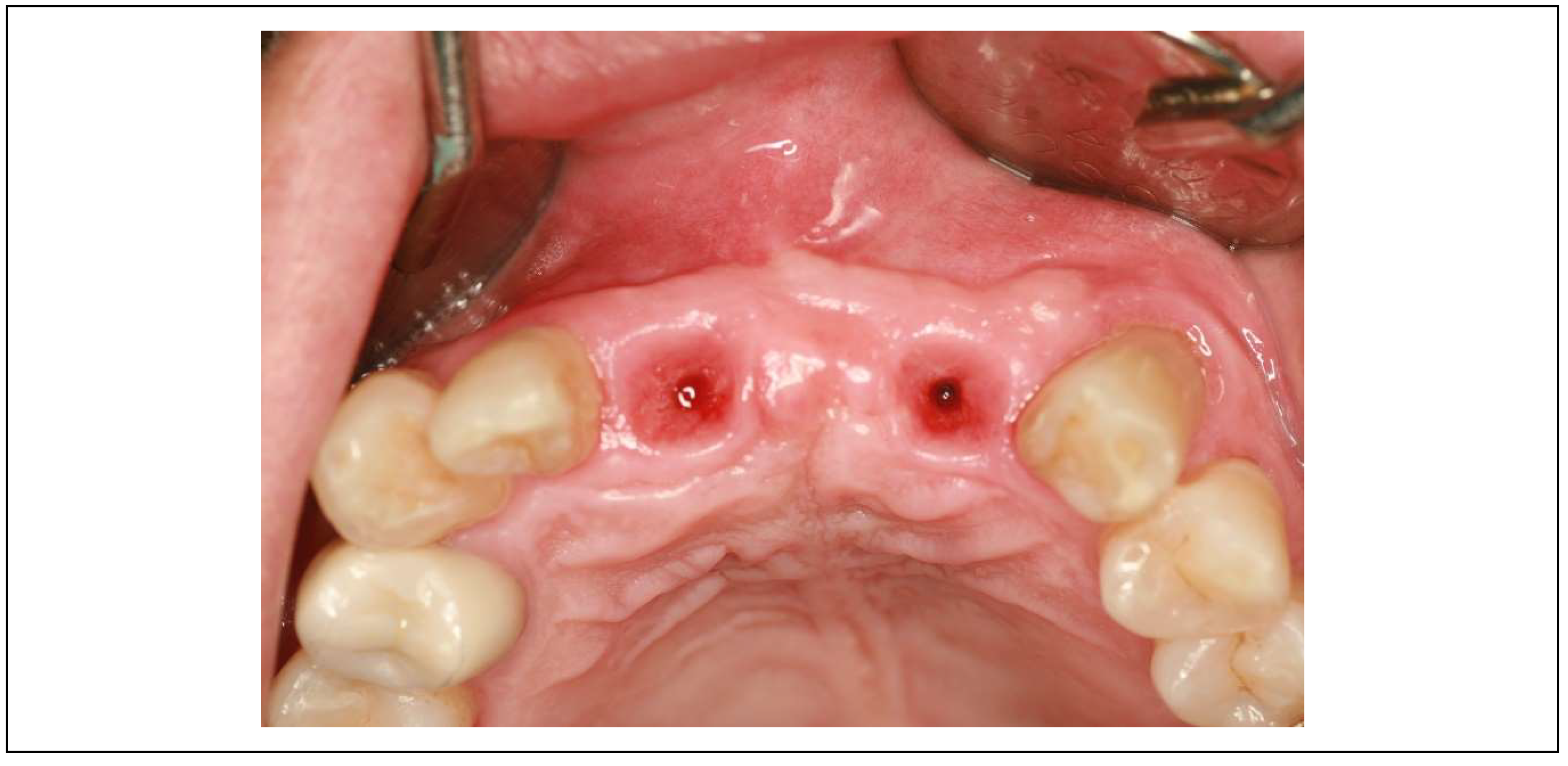 Preprints 153065 g012b