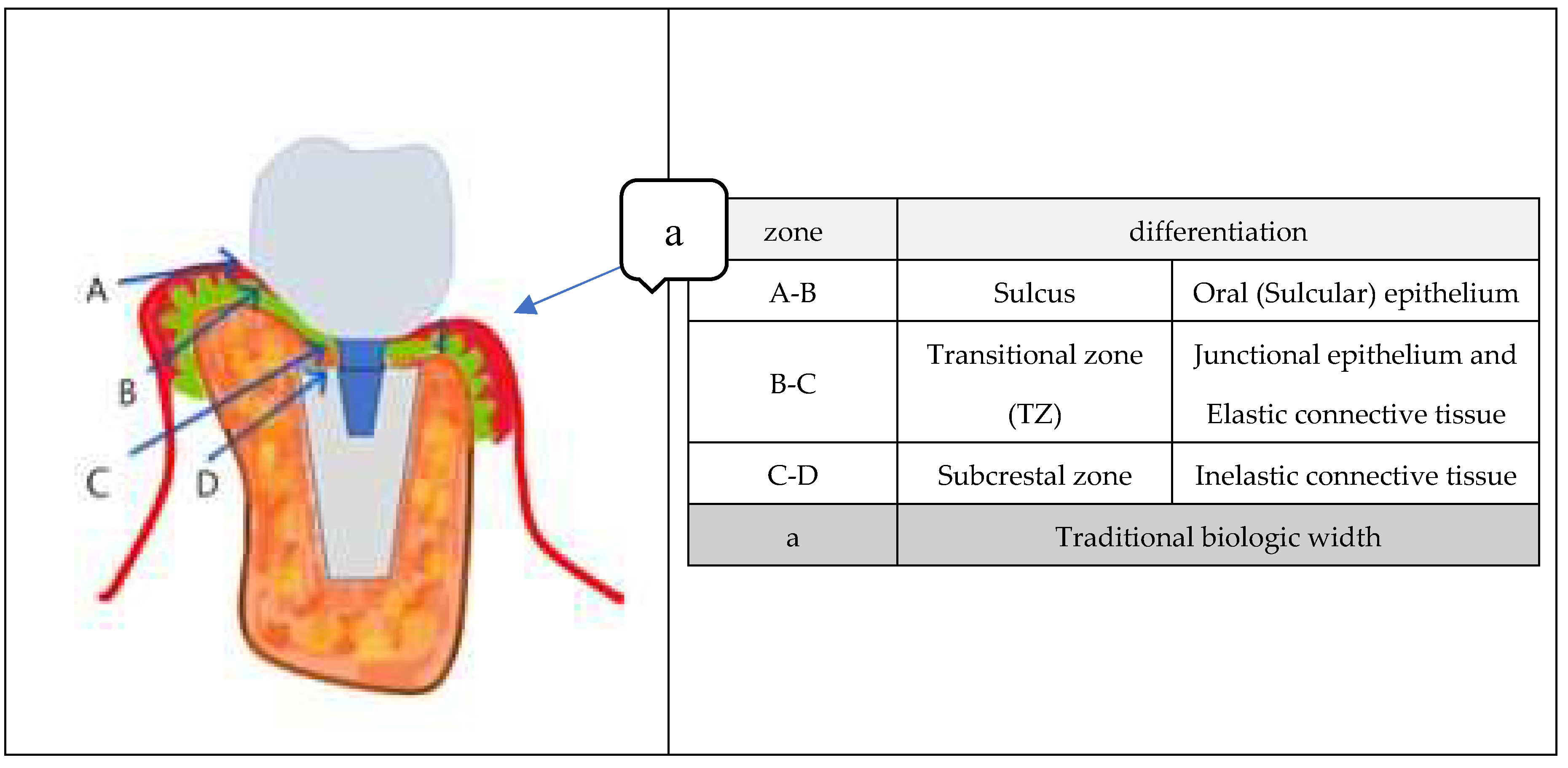 Preprints 153065 g013