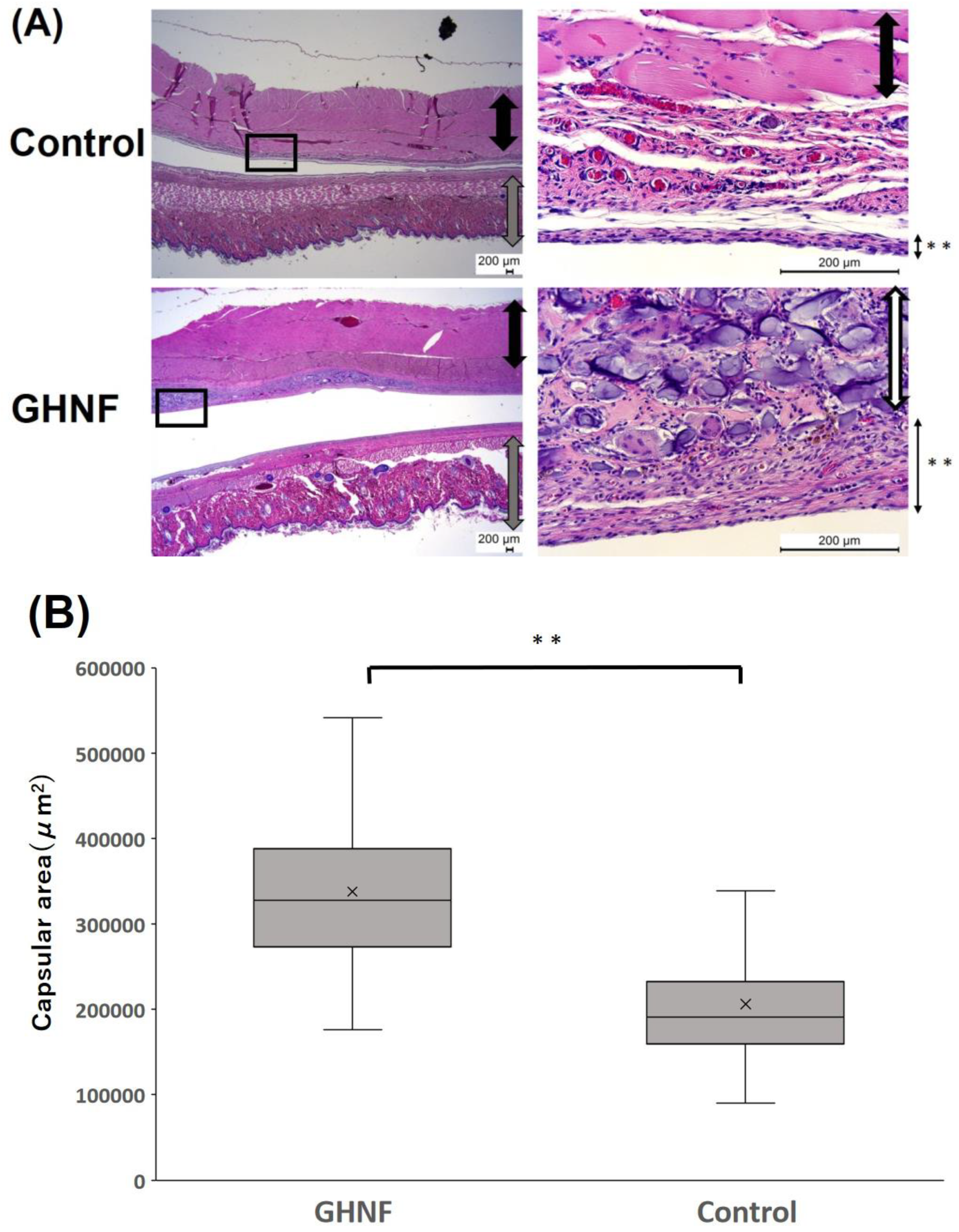 Preprints 91607 g001