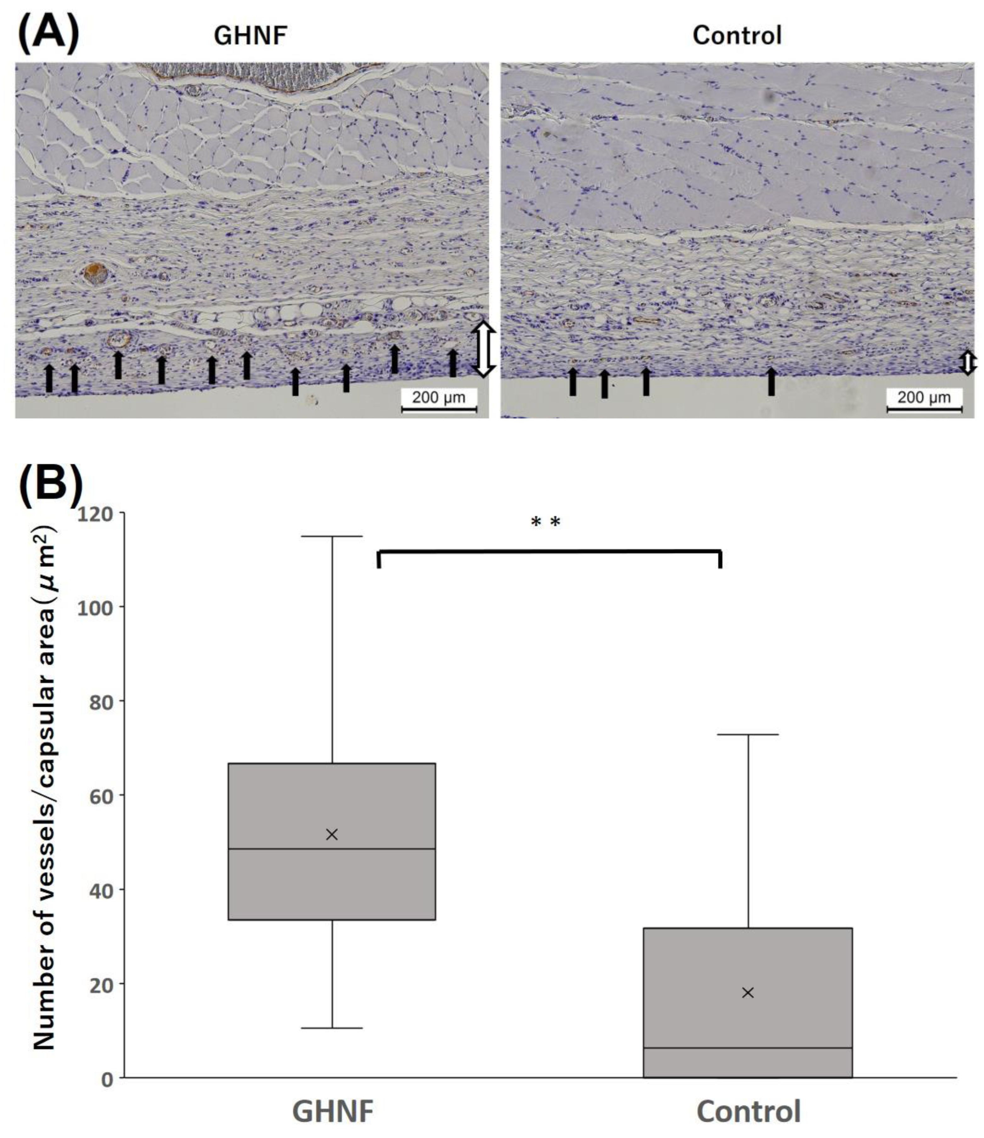 Preprints 91607 g004