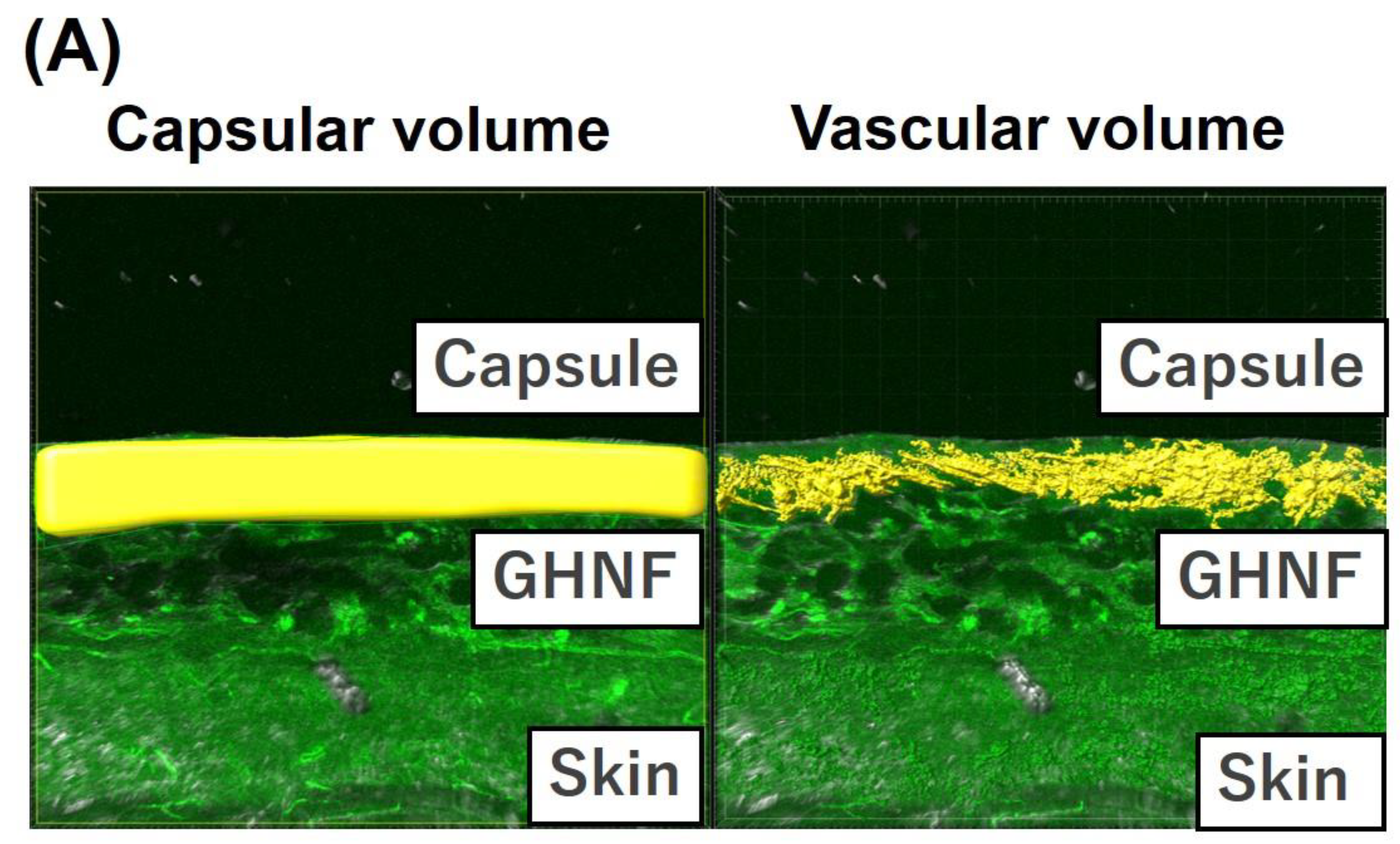 Preprints 91607 g007a