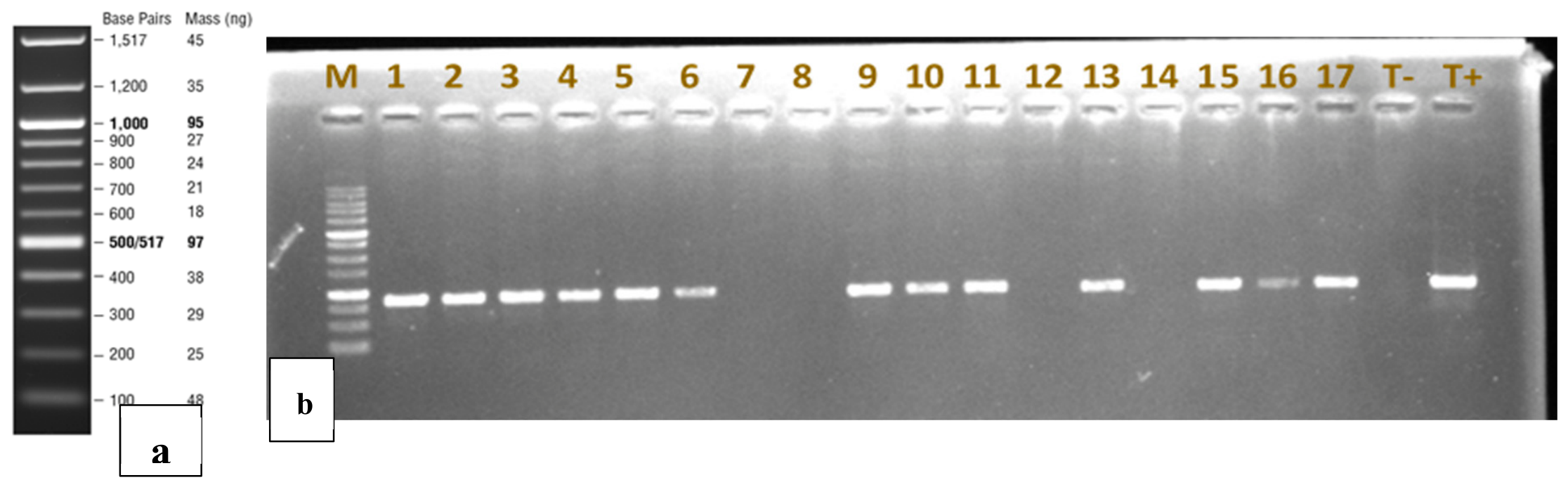 Preprints 215441 g007 Preprints 215441 g007