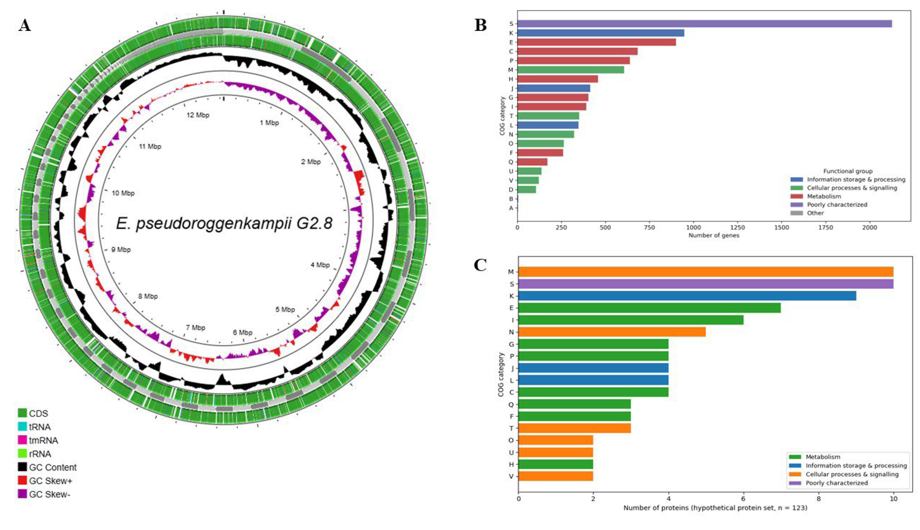 Preprints 202464 g003