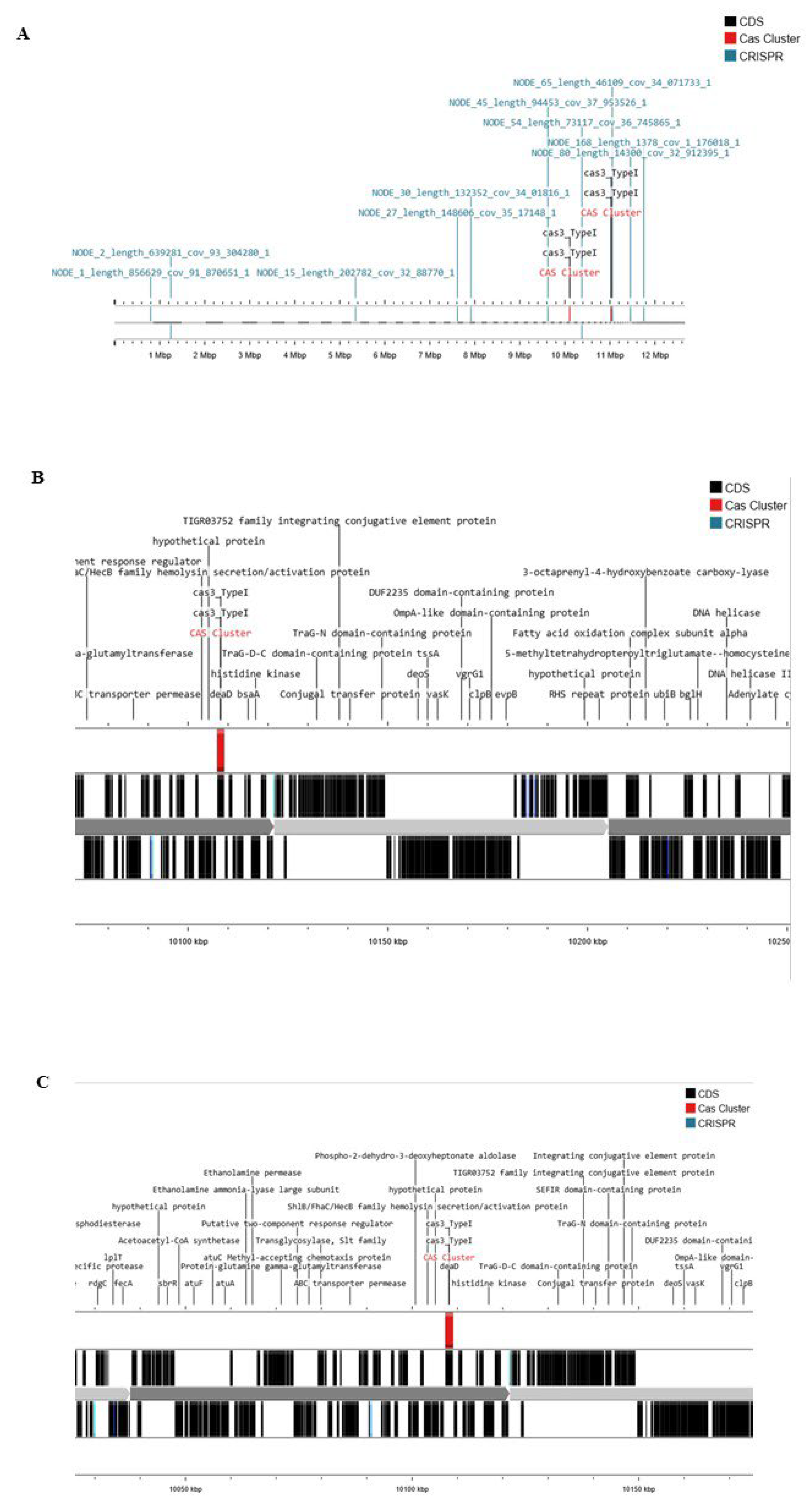 Preprints 202464 g004