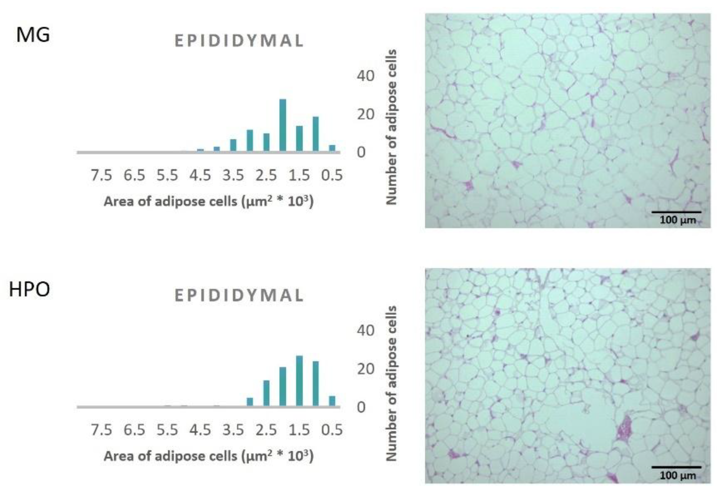 Preprints 169055 g002
