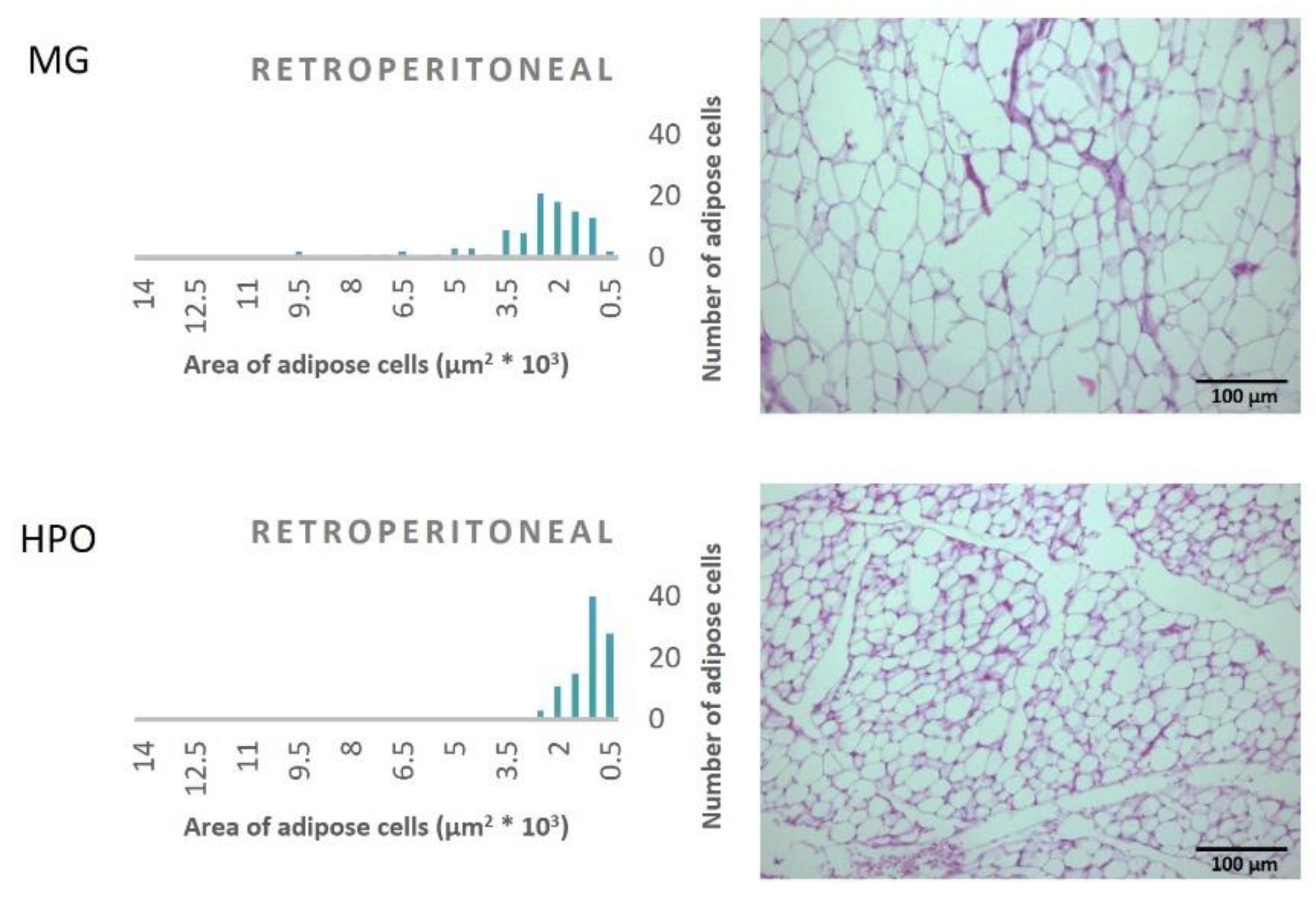 Preprints 169055 g003