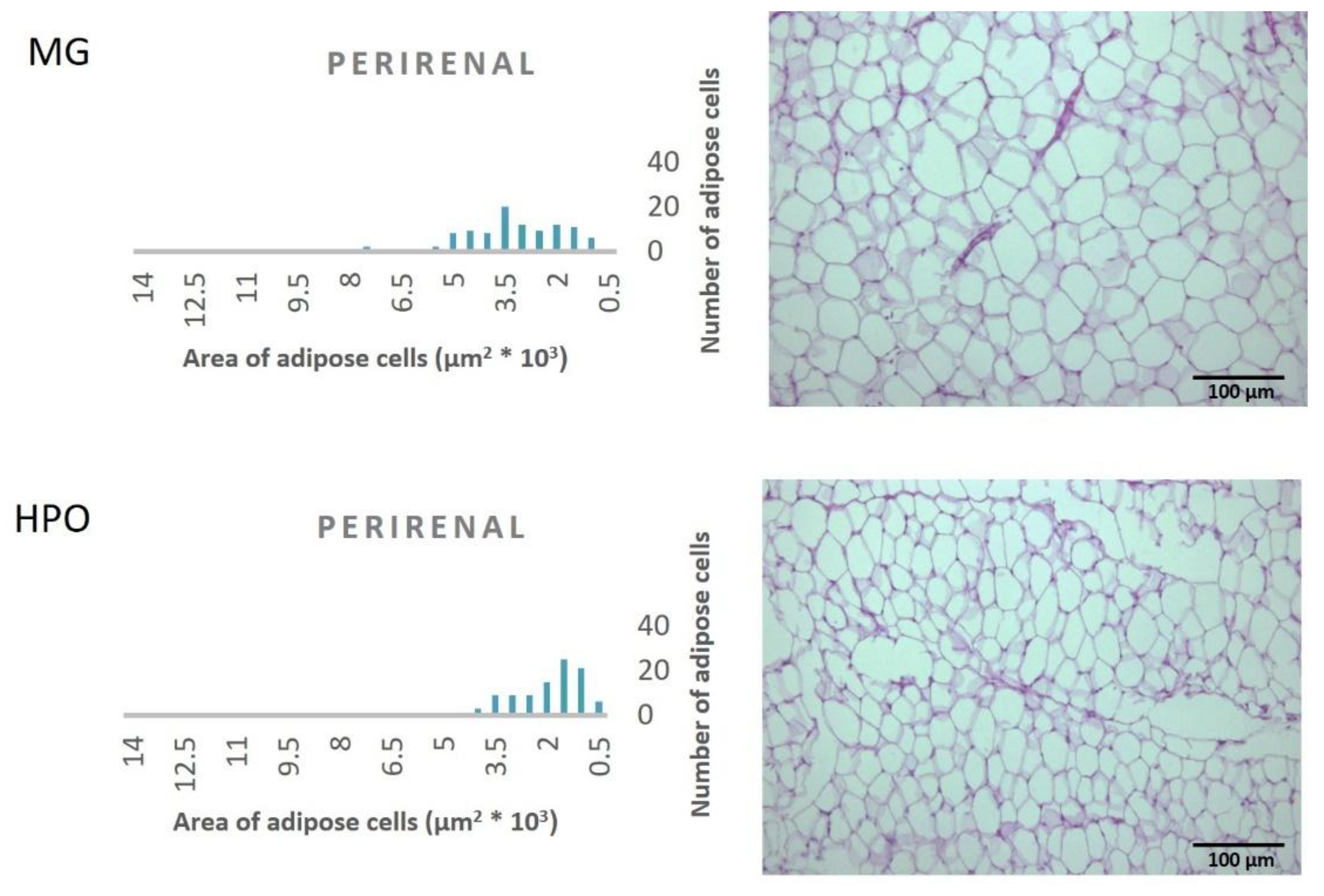 Preprints 169055 g004