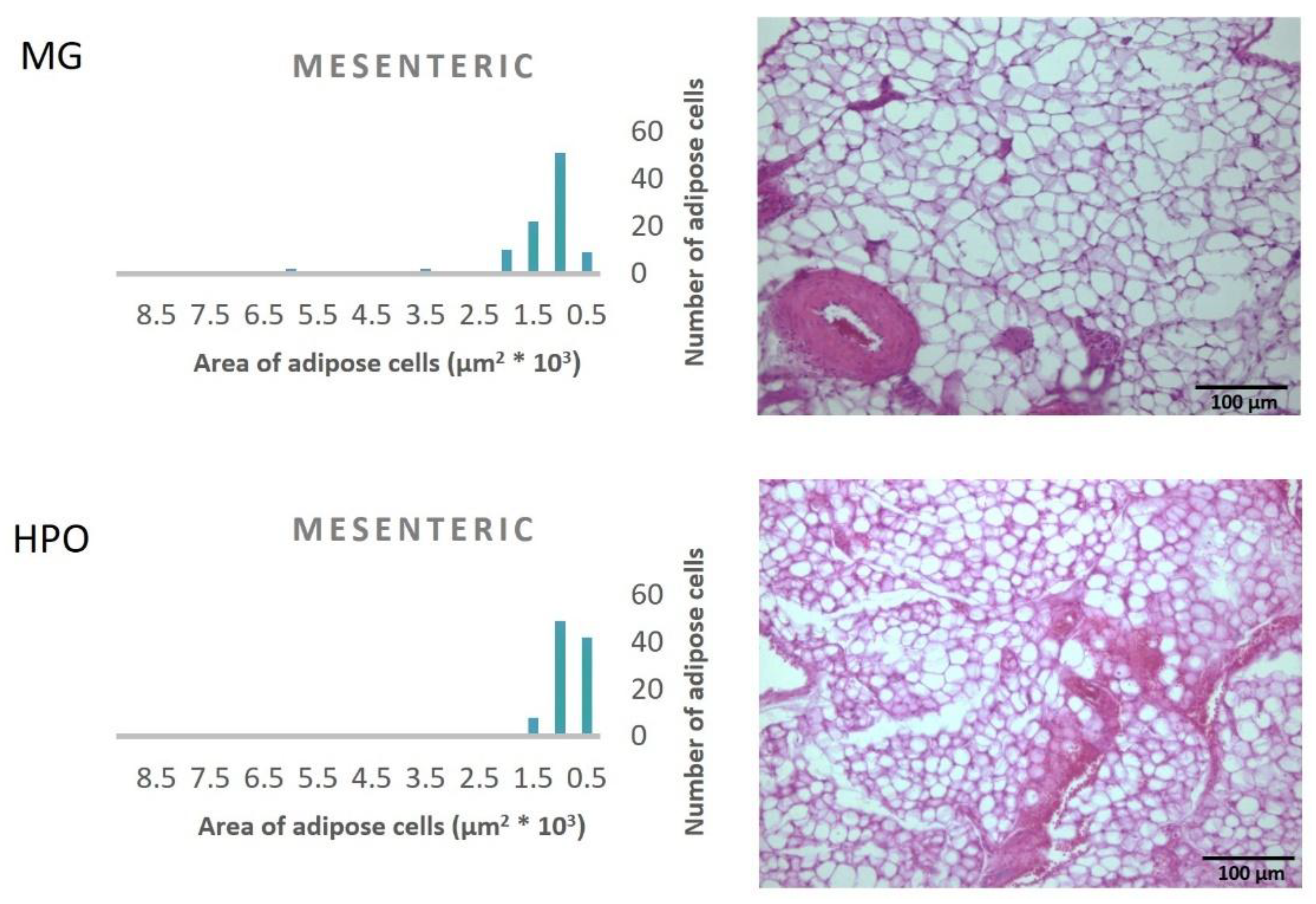 Preprints 169055 g005