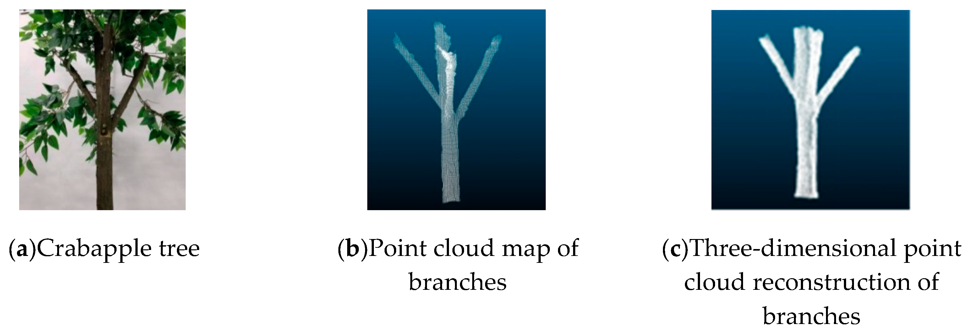 Preprints 144177 g001