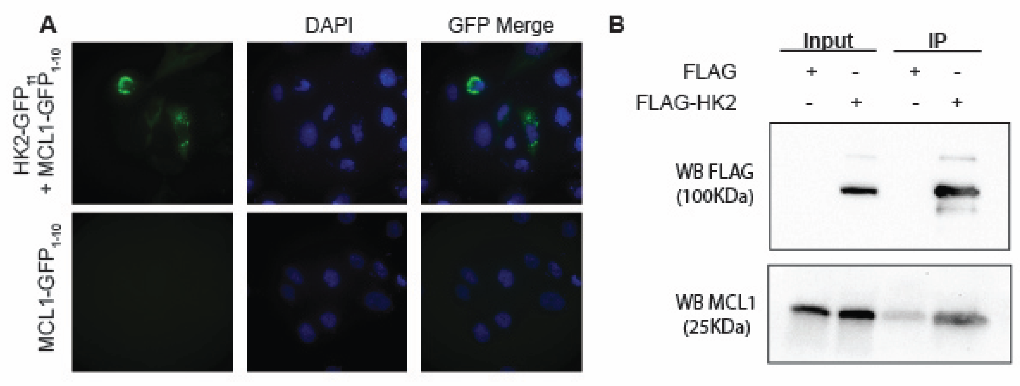Preprints 206405 g002
