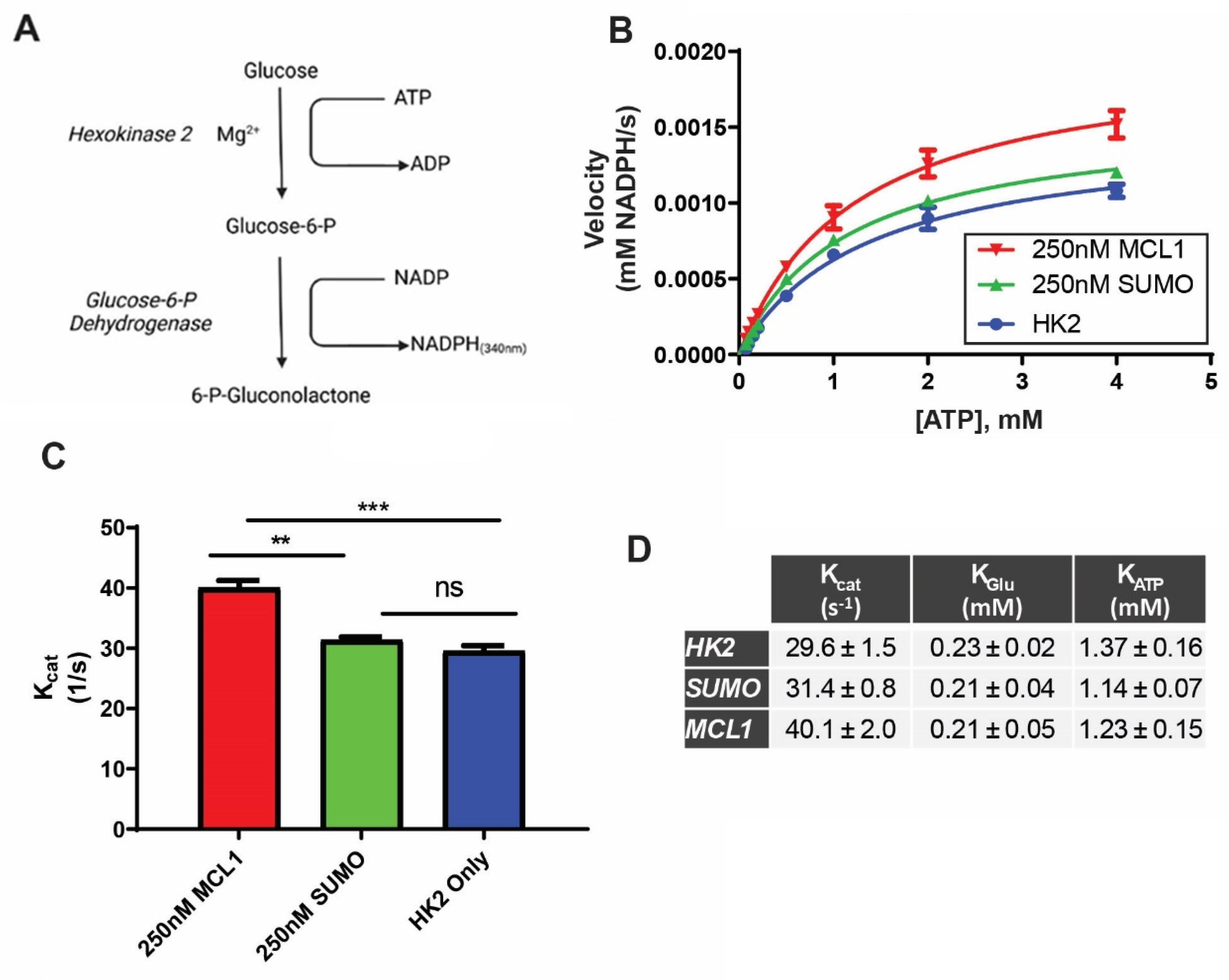 Preprints 206405 g003