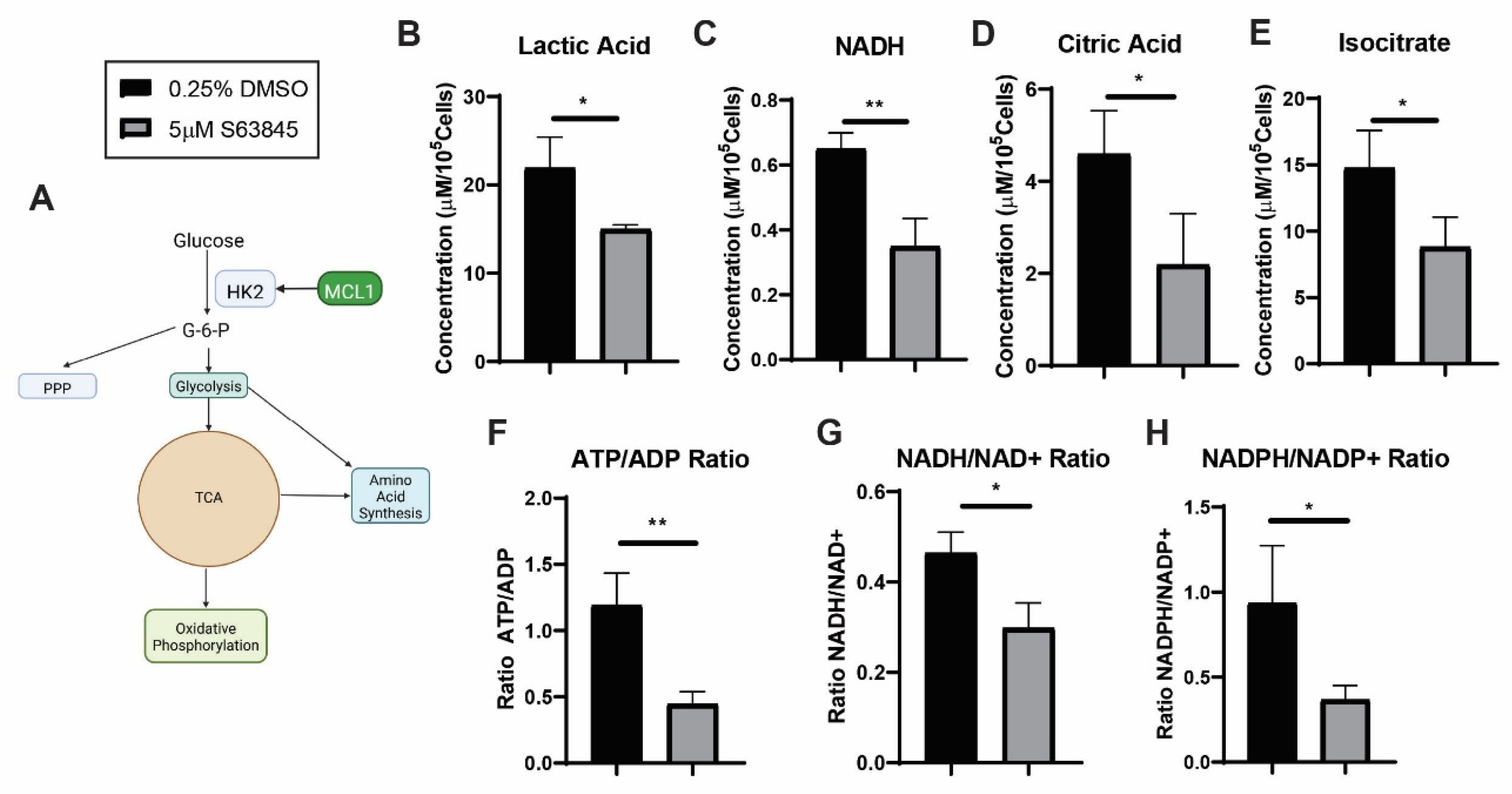 Preprints 206405 g004