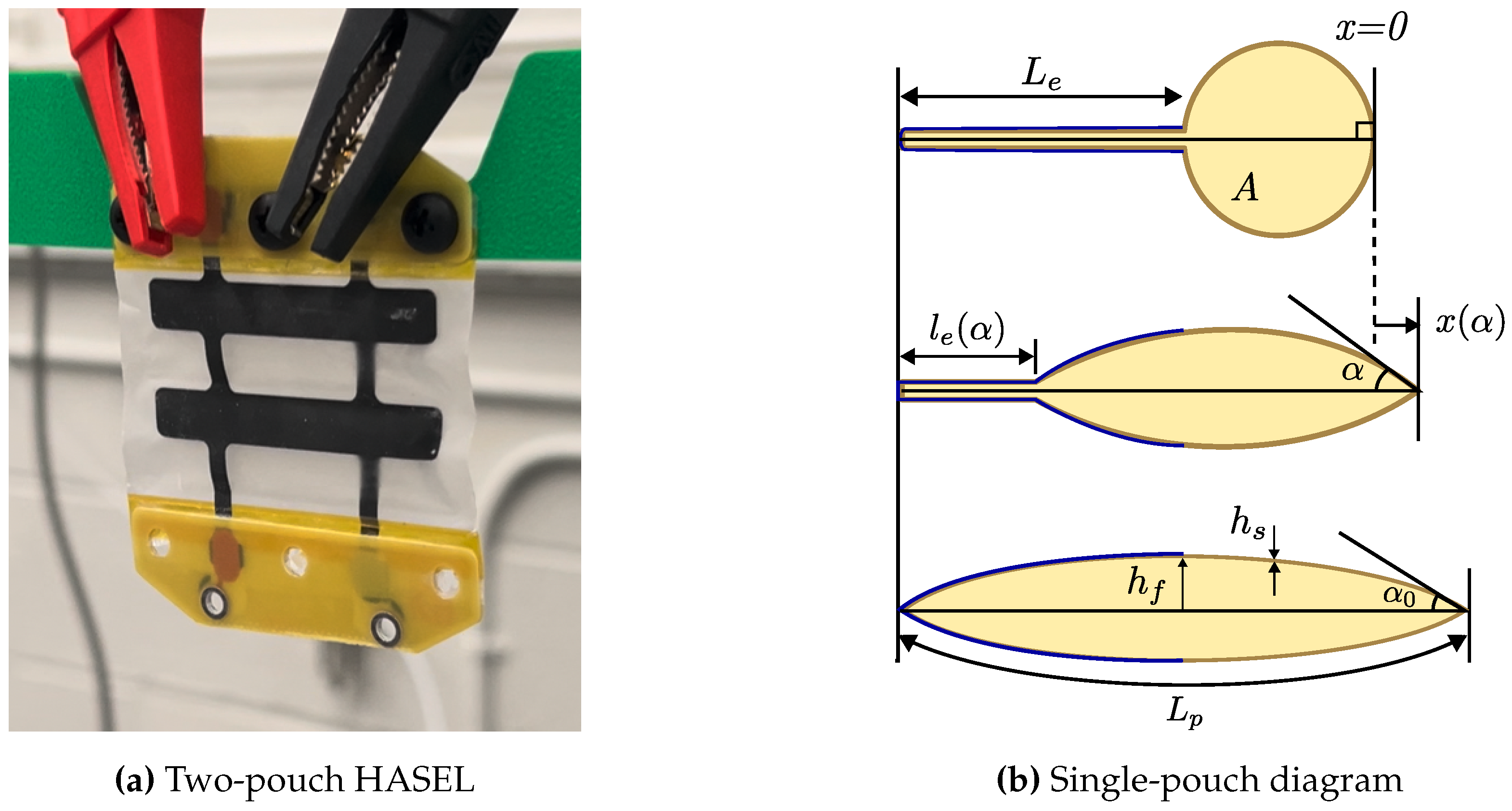 Preprints 140603 g001