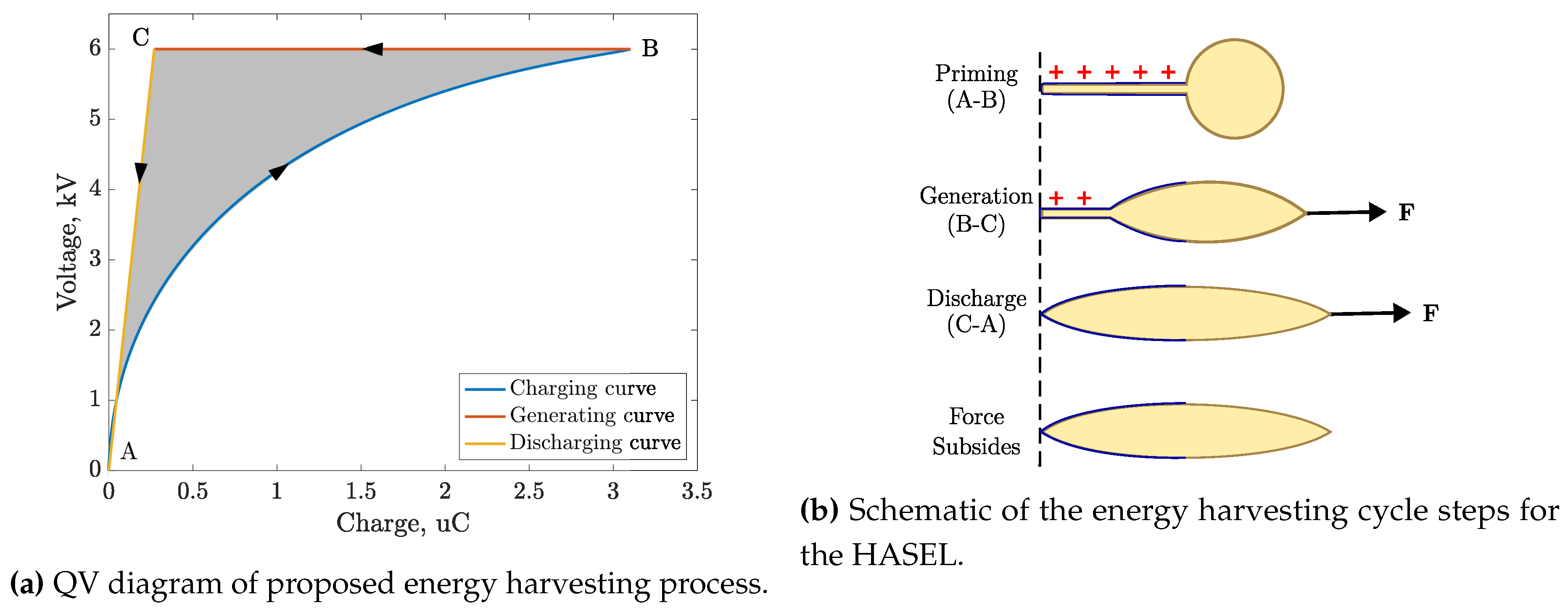 Preprints 140603 g002