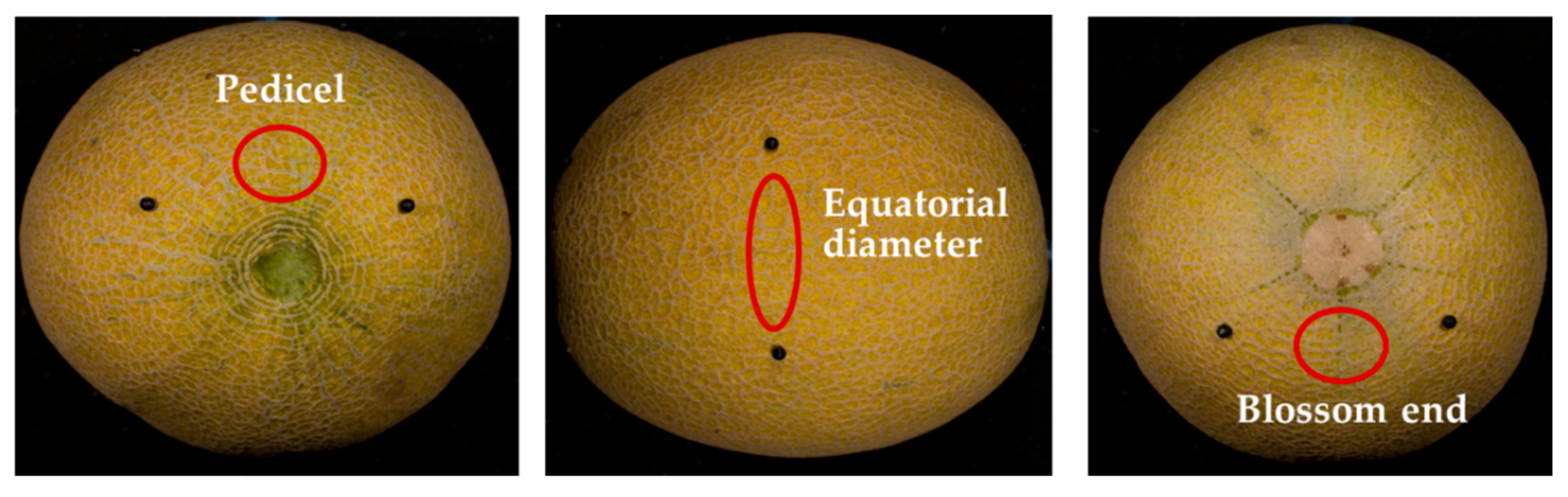 Preprints 157056 g001