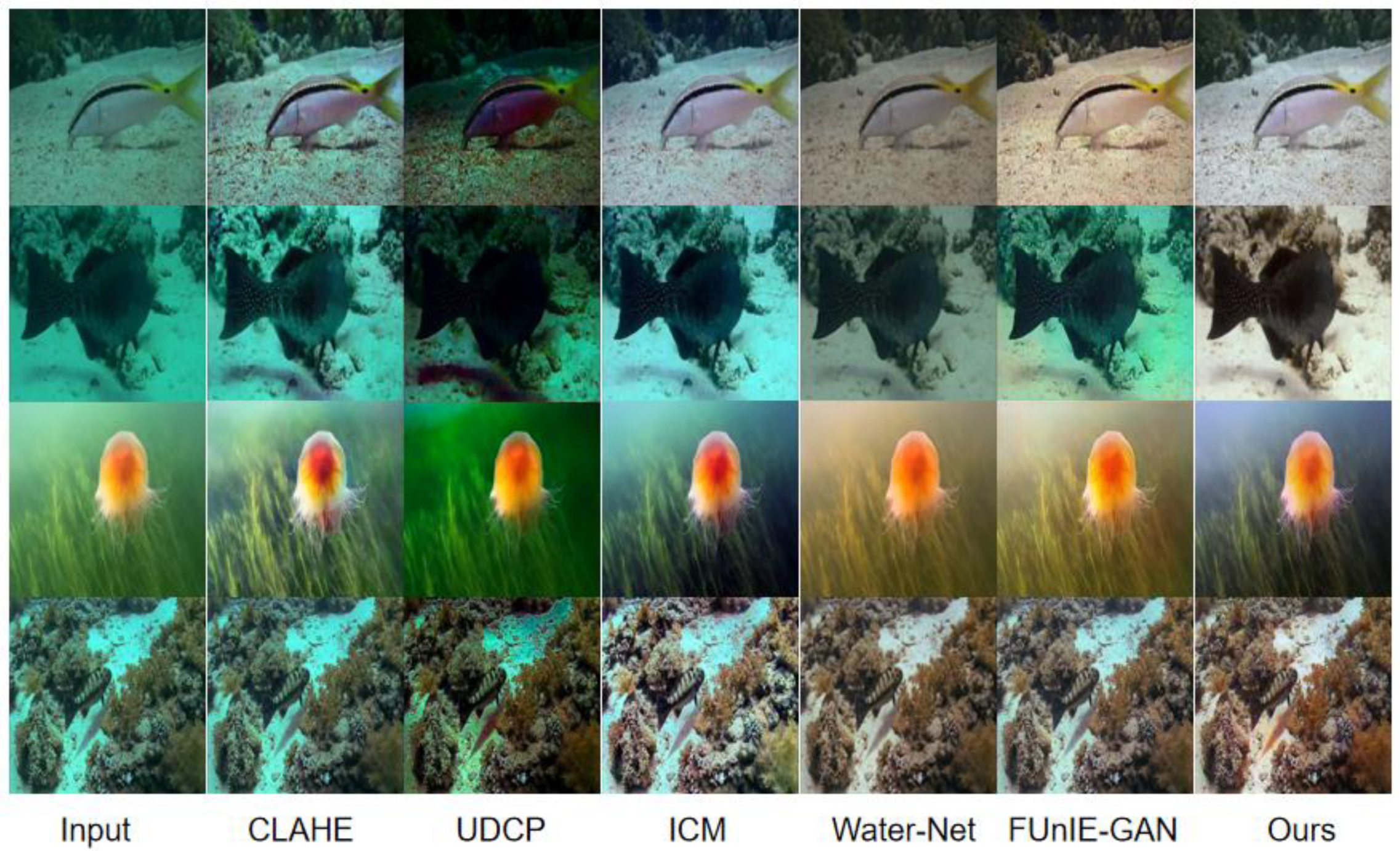 Preprints 152486 g006