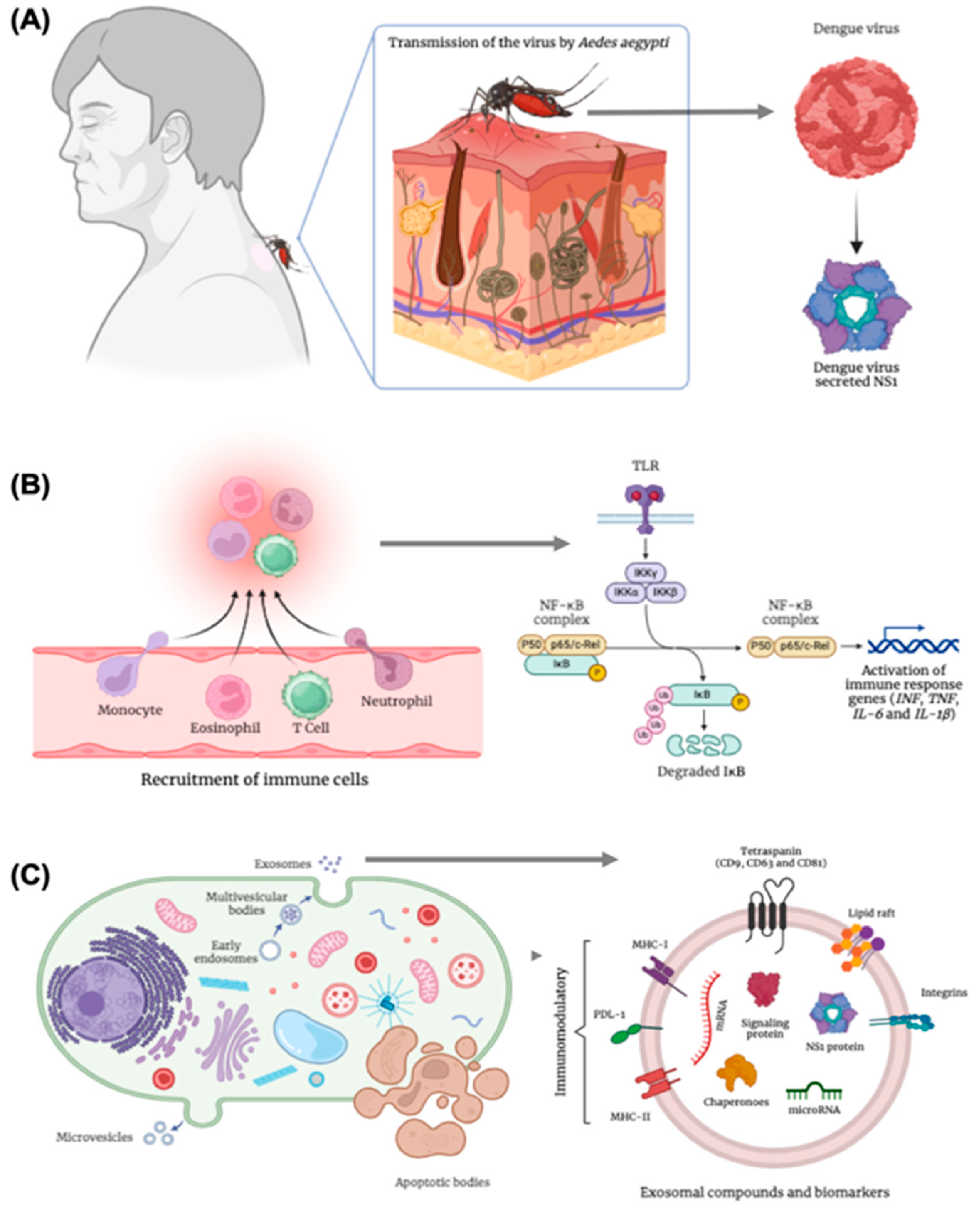 Preprints 157169 g002