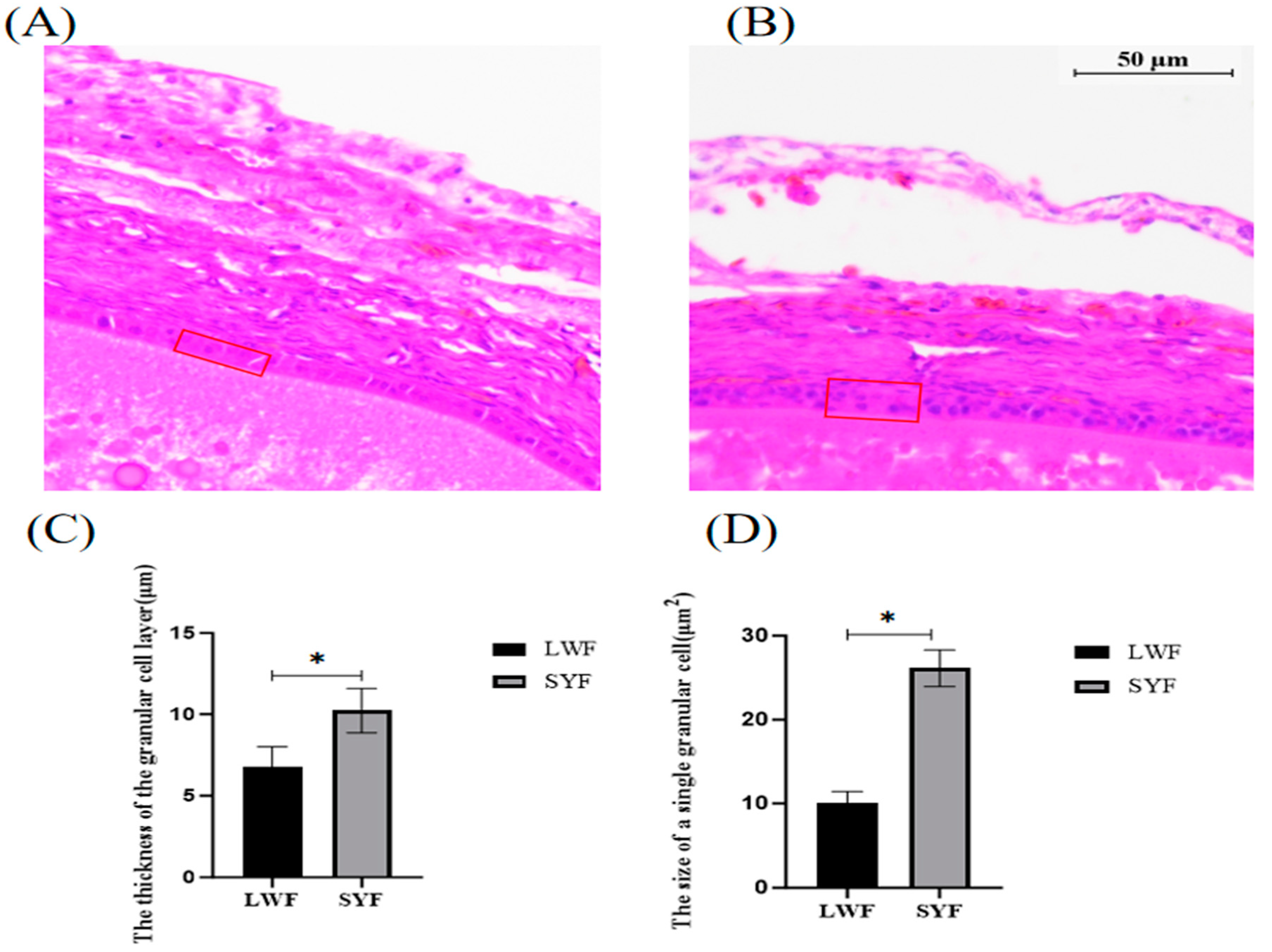 Preprints 121178 g001