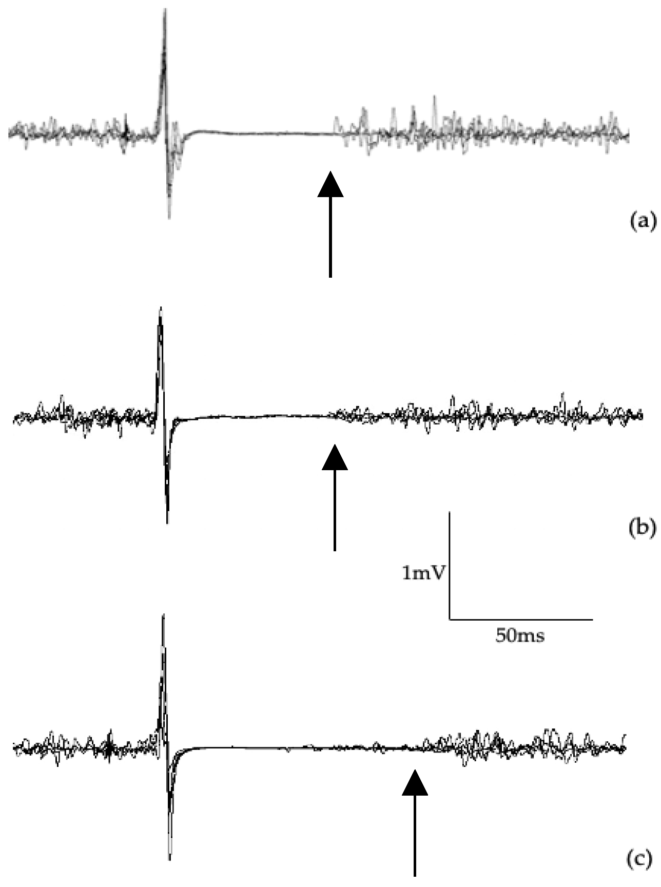Preprints 179016 g002