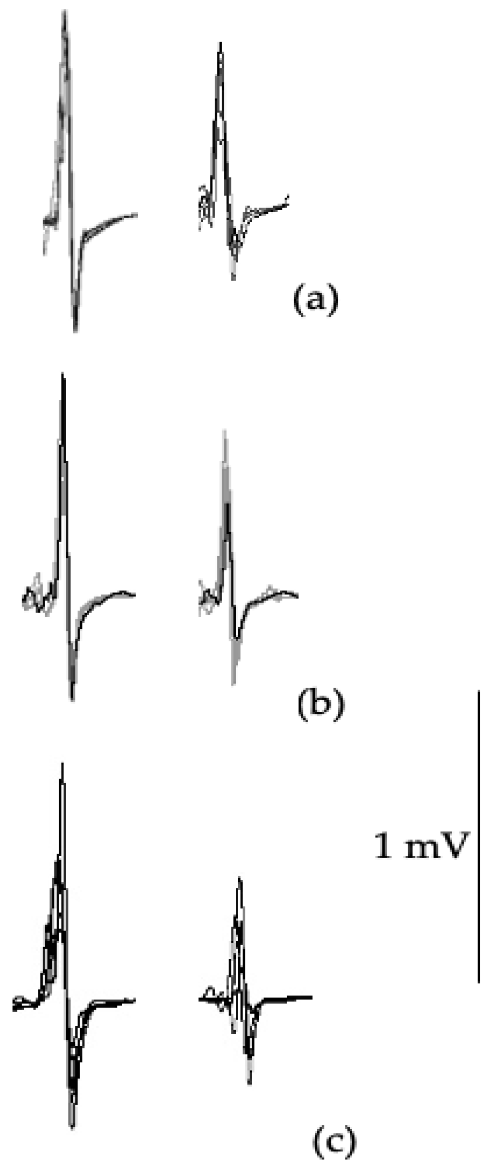 Preprints 179016 g003