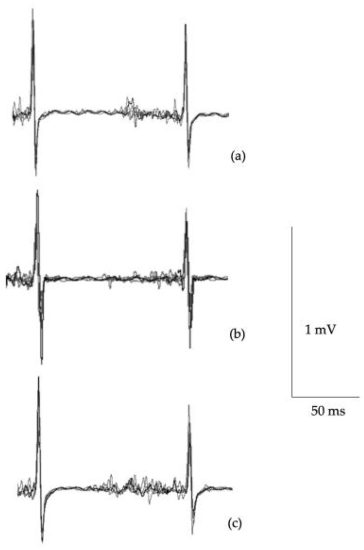 Preprints 179016 g004