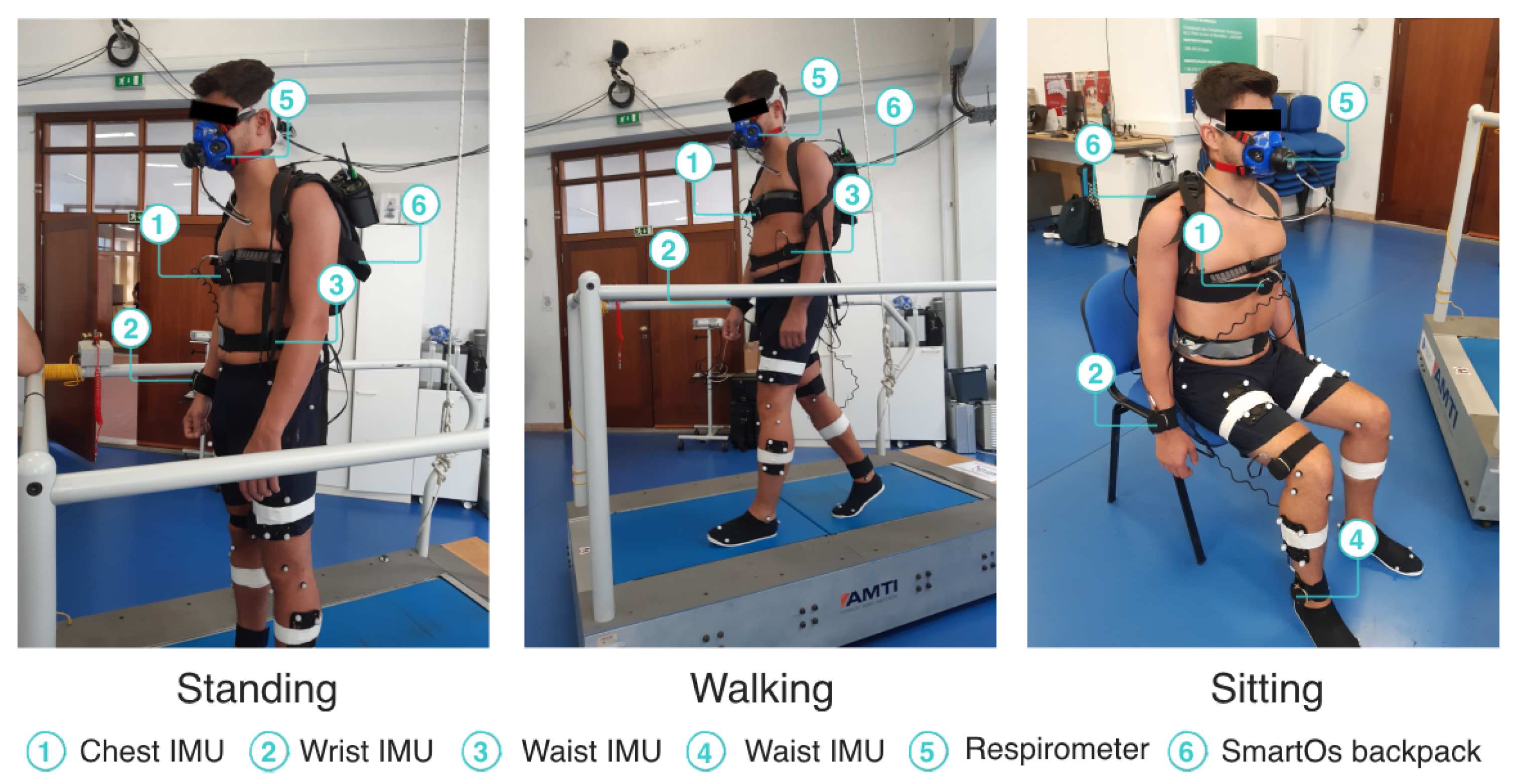 Preprints 102427 g004